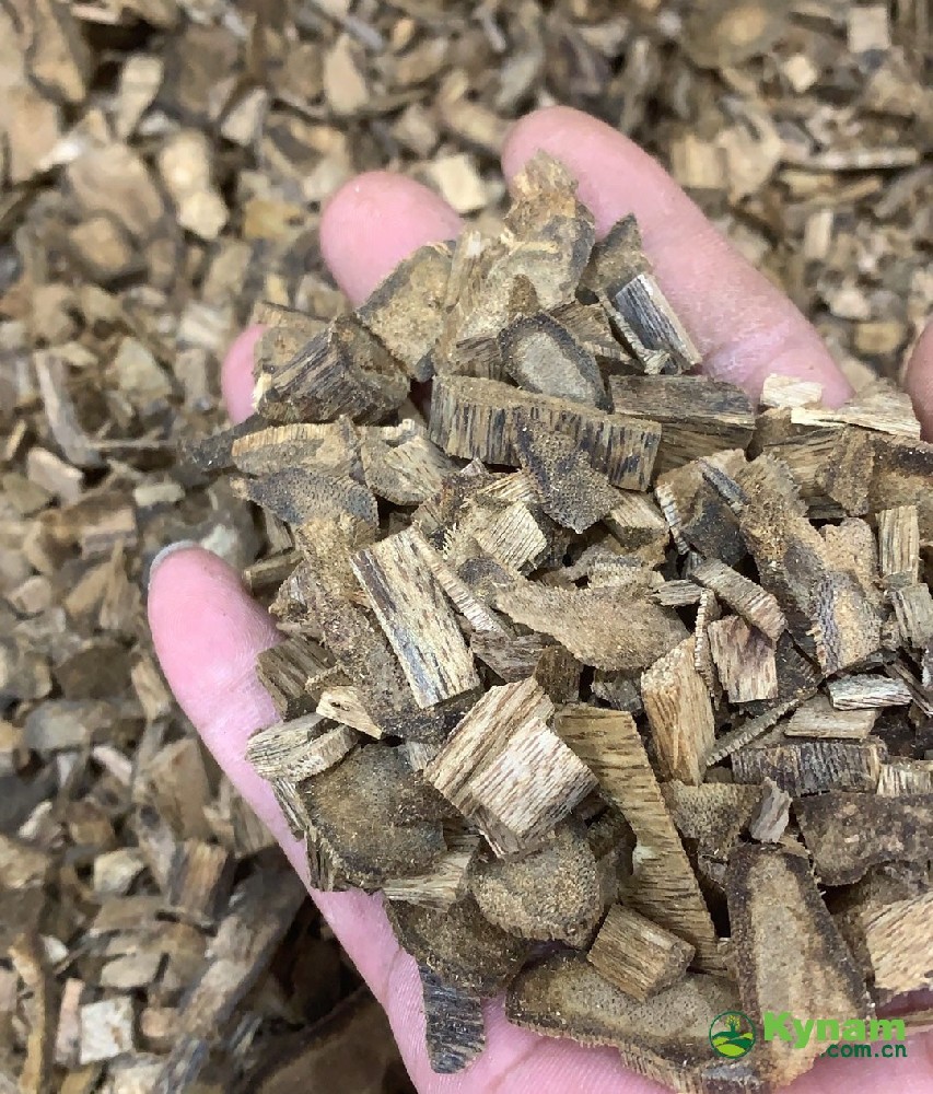 Medium Scent Strength Raw Kynam Logs Fragrance Notes Sandalwood For Aromatherapy