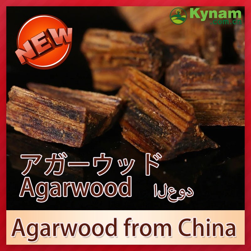 Aromatherapy Kynam Timber Wood The Ultimate Woody Fragrance Experience