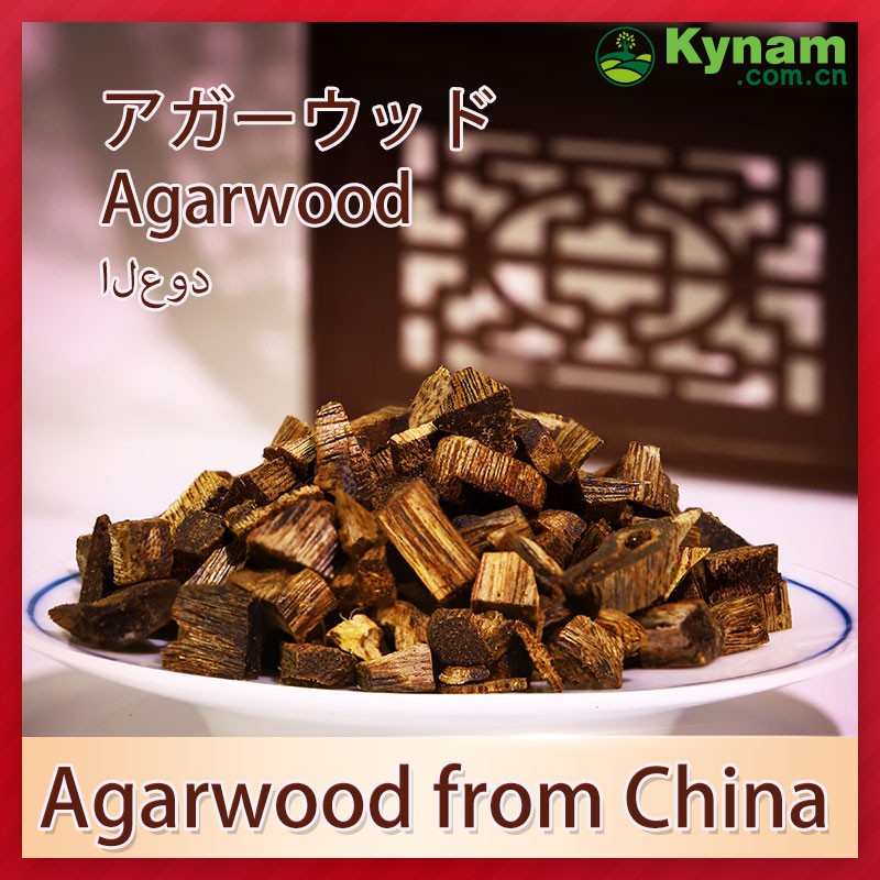 Aromatherapy Kynam Timber Wood The Ultimate Woody Fragrance Experience
