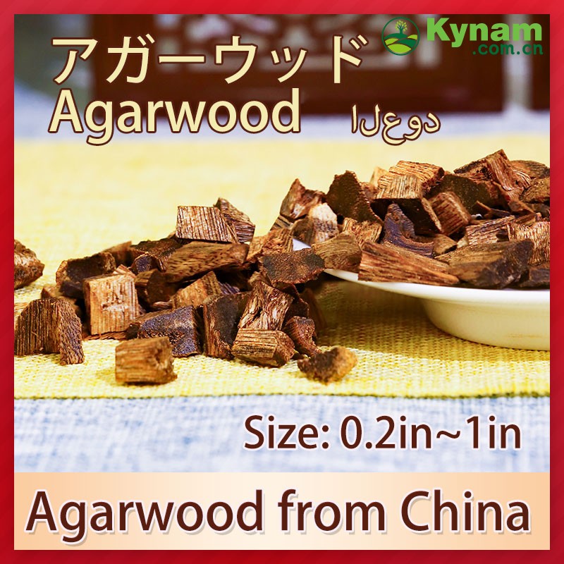 Aromatherapy Kynam Timber Wood The Ultimate Woody Fragrance Experience