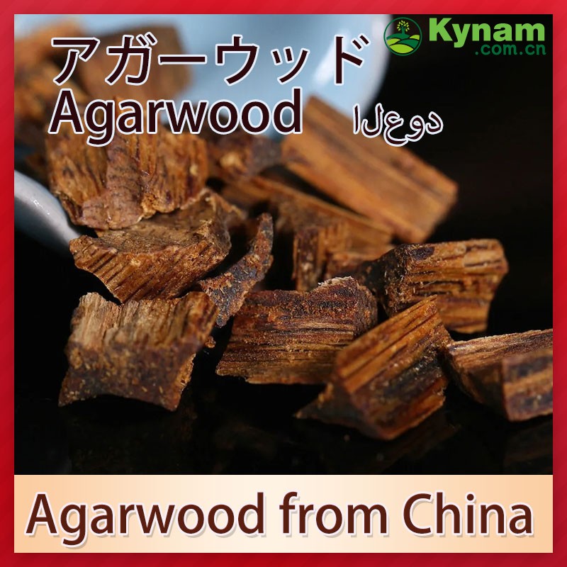 Aromatherapy Kynam Timber Wood The Ultimate Woody Fragrance Experience