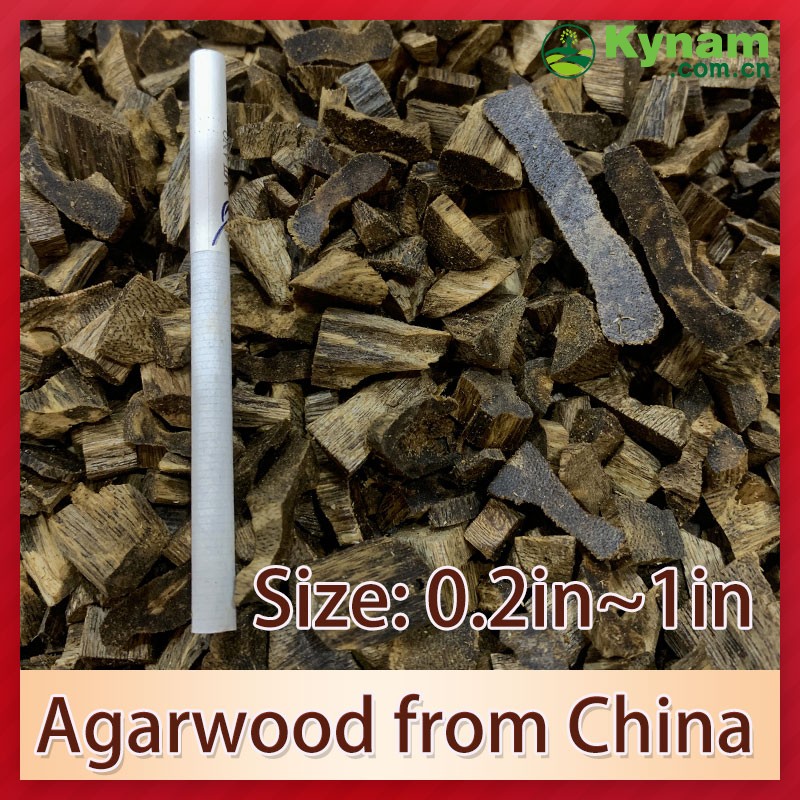 Aromatherapy Kynam Timber Wood The Ultimate Woody Fragrance Experience