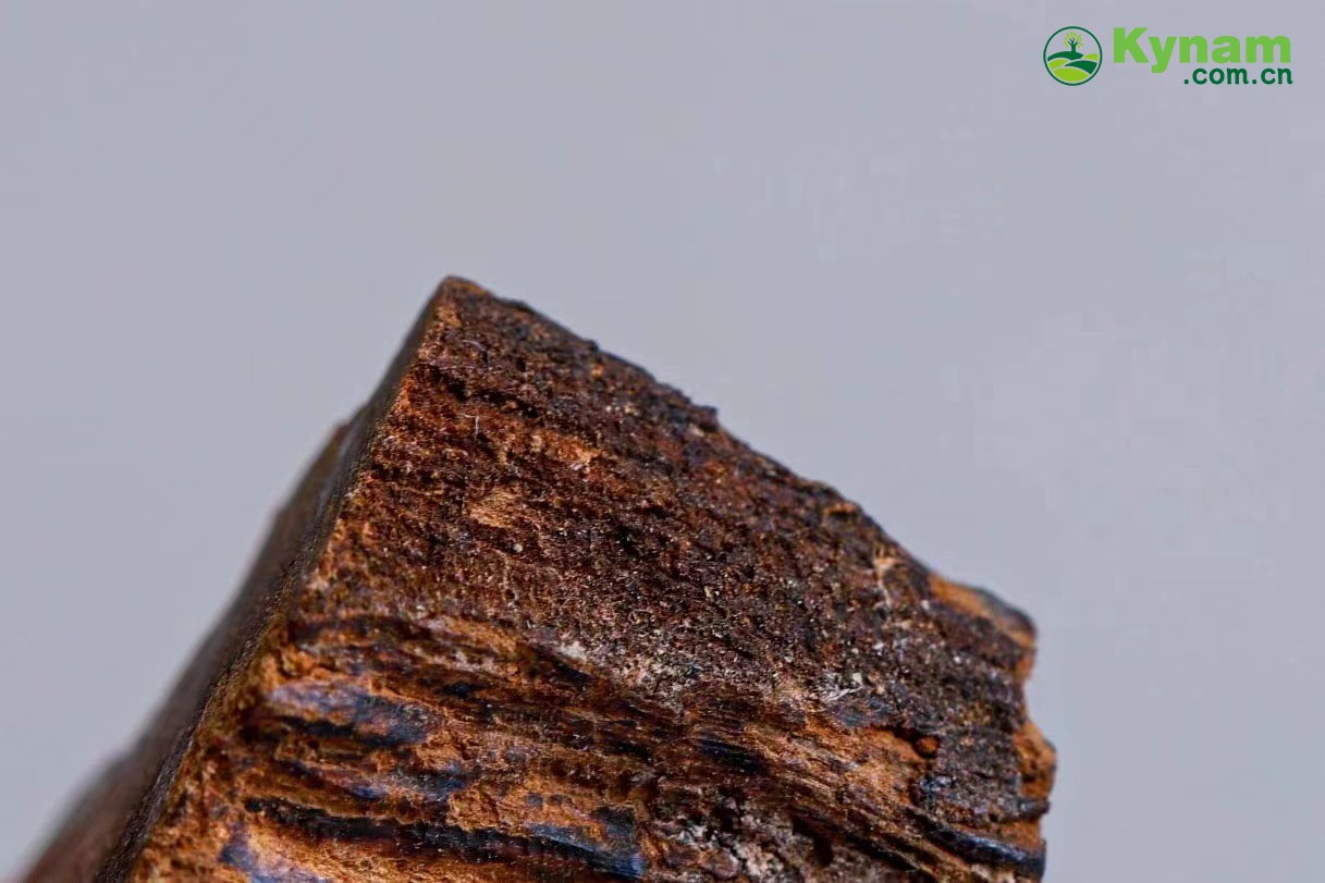 Weight 2 grams,Hainan agarwood that can sink in water
