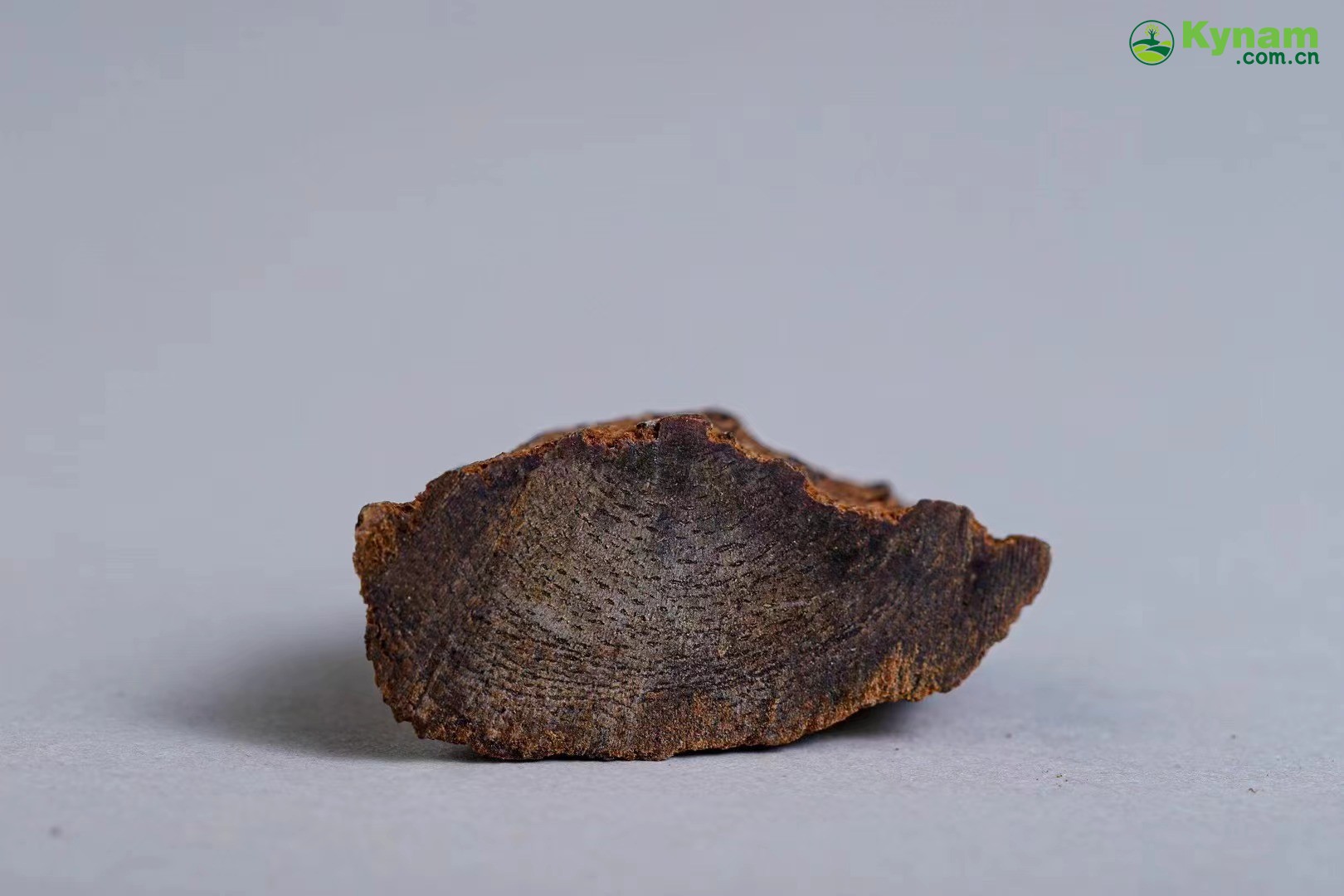 Weight 2 grams,Hainan agarwood that can sink in water