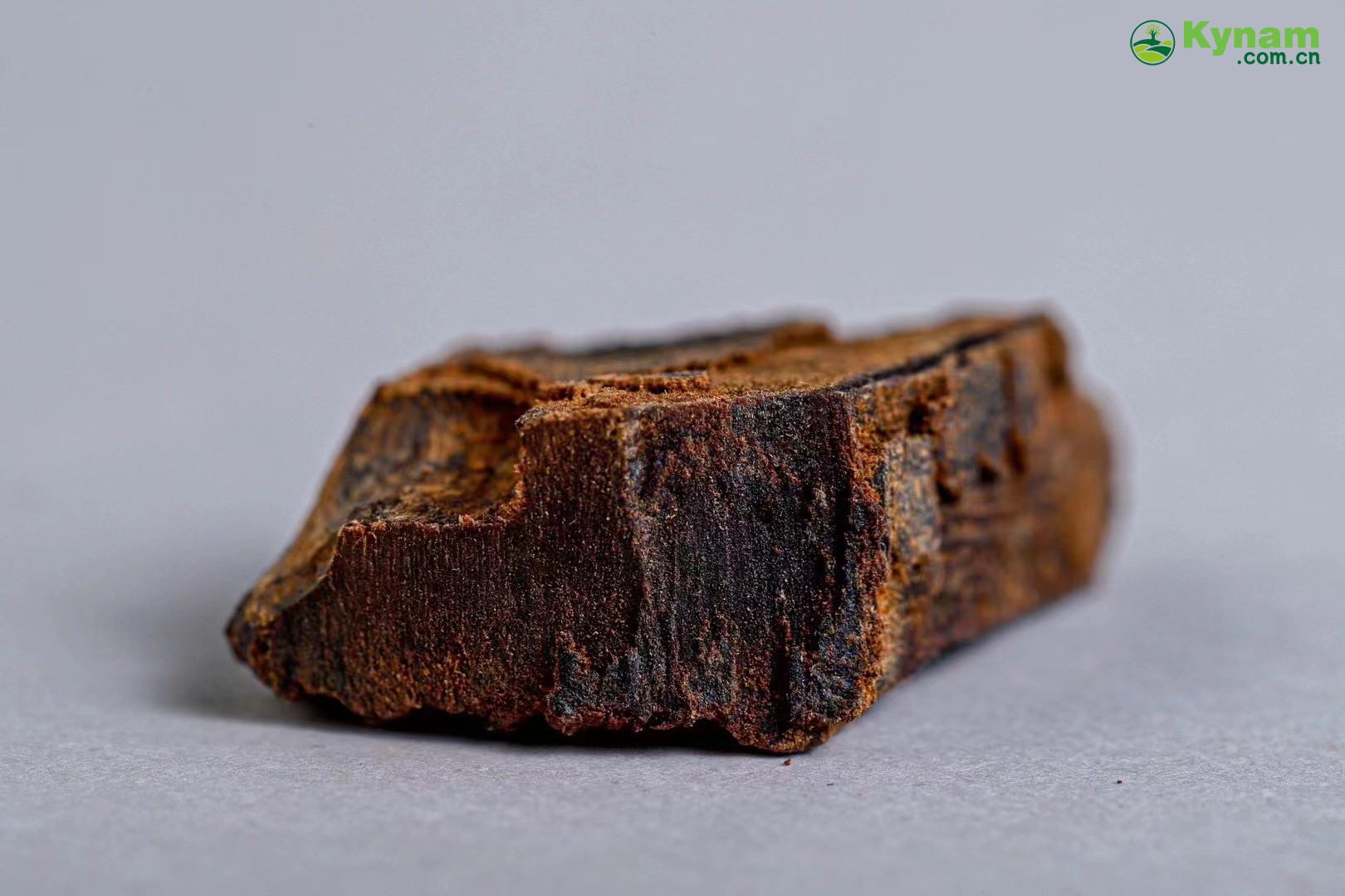 1.55 grams, Hainan agarwood
