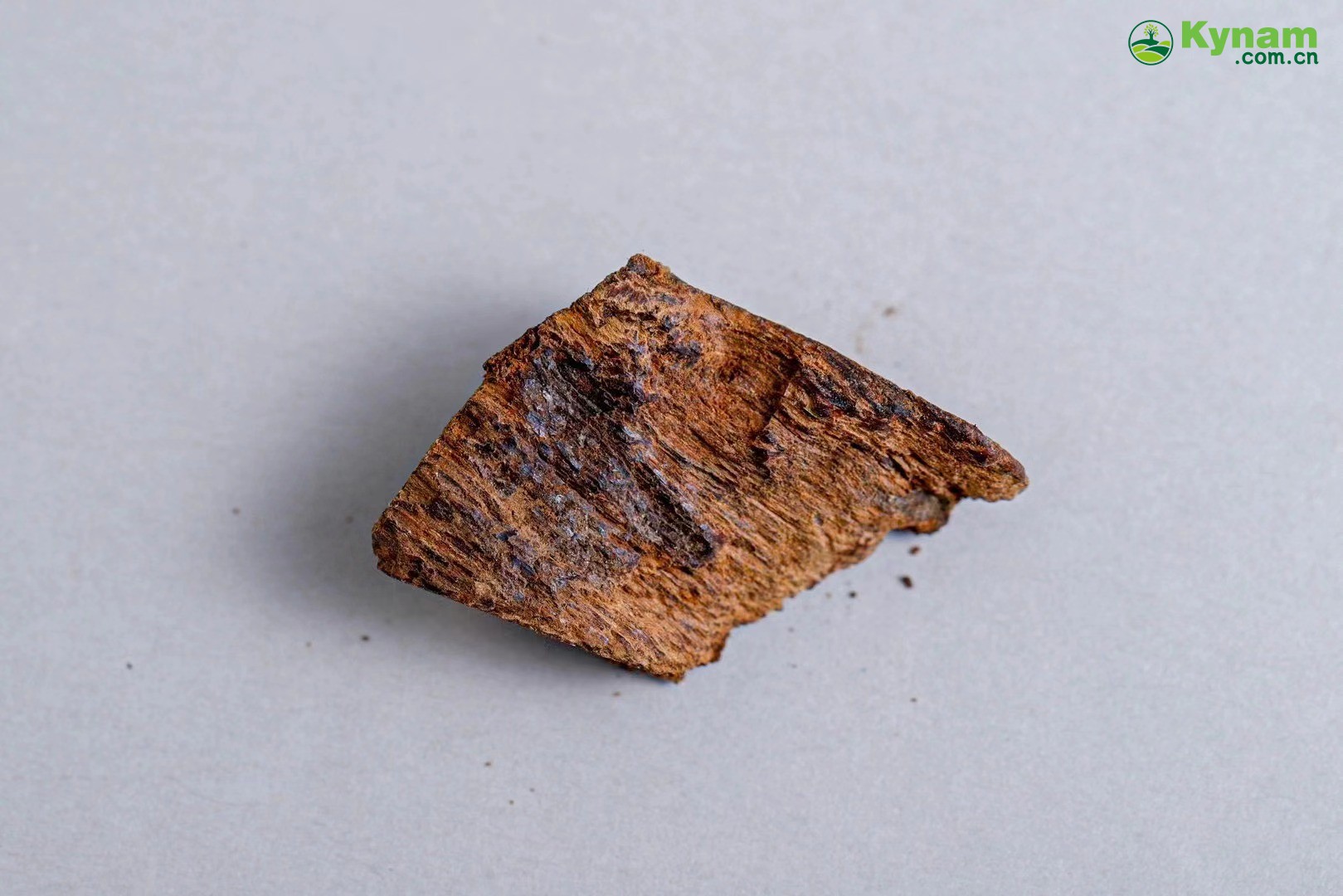 1.55 grams, Hainan agarwood