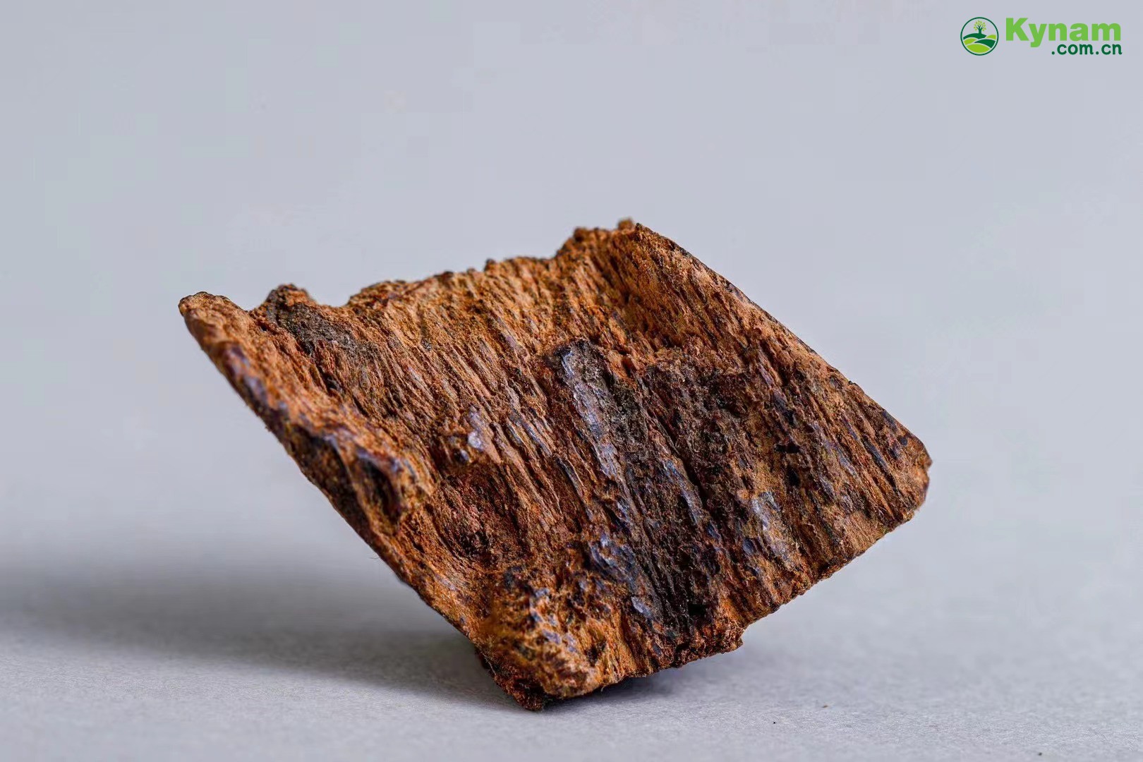 1.55 grams, Hainan agarwood