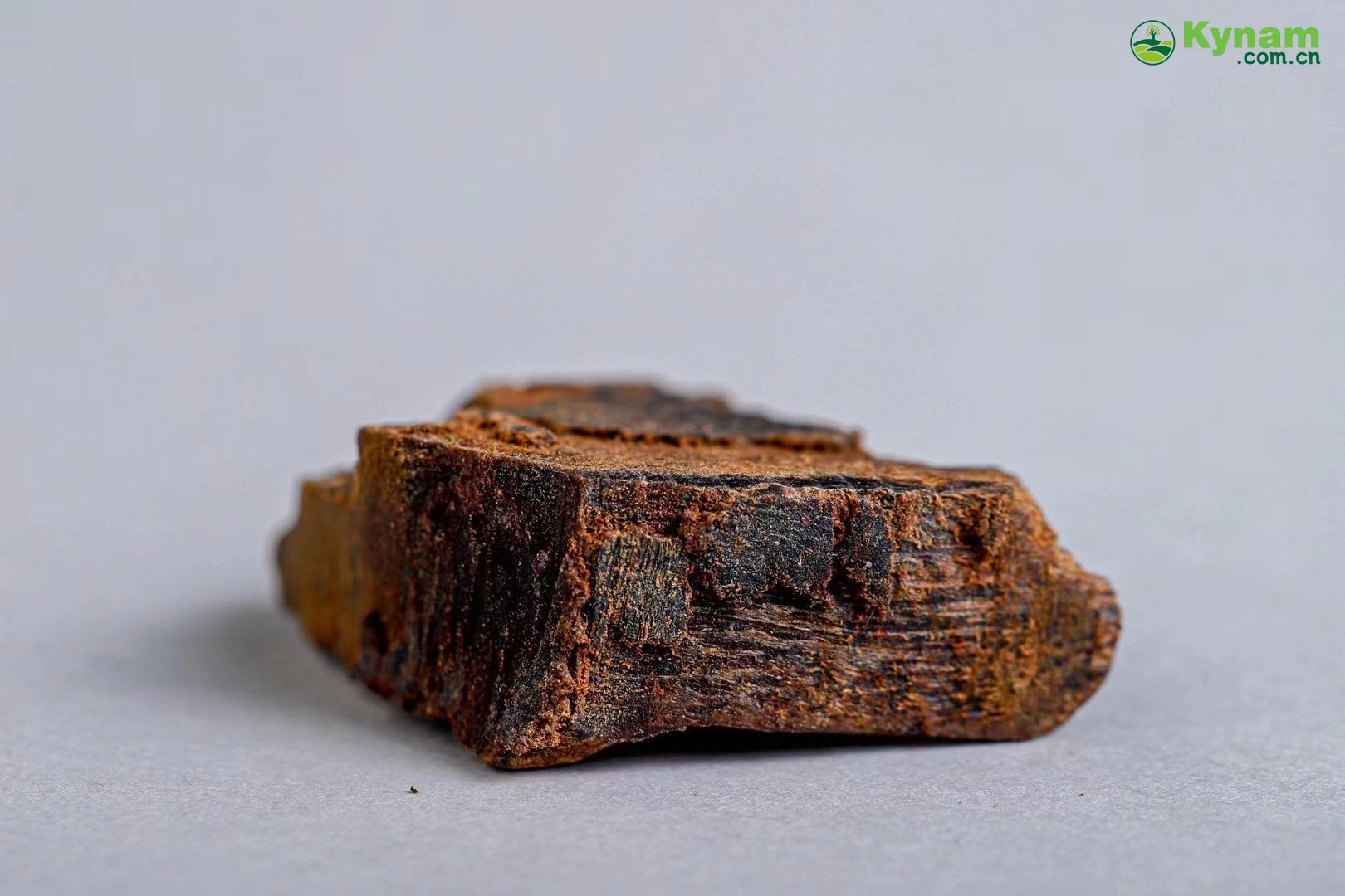 1.55 grams, Hainan agarwood