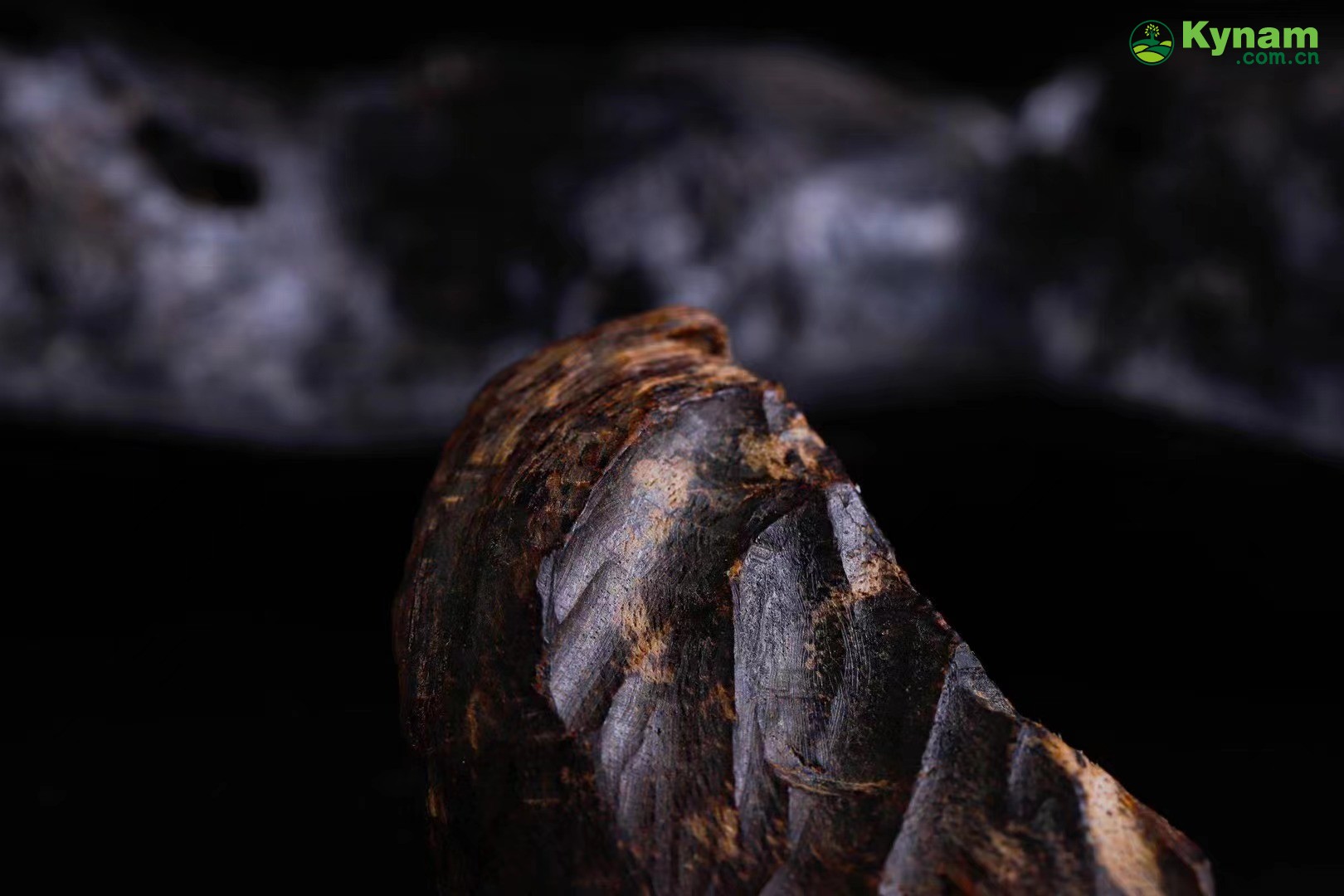 Image appreciation, like beef jerky, aged agarwood