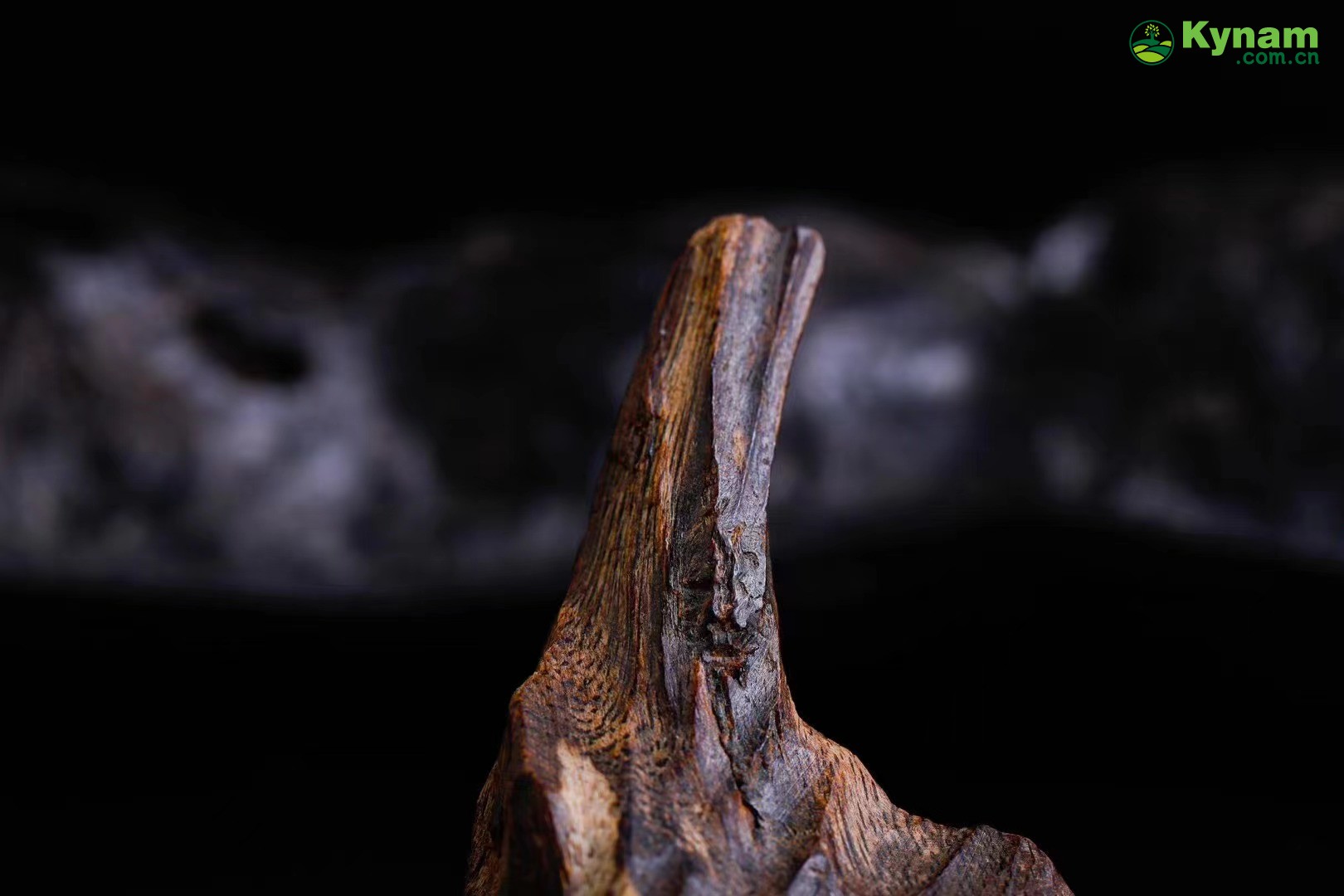 Image appreciation, like beef jerky, aged agarwood