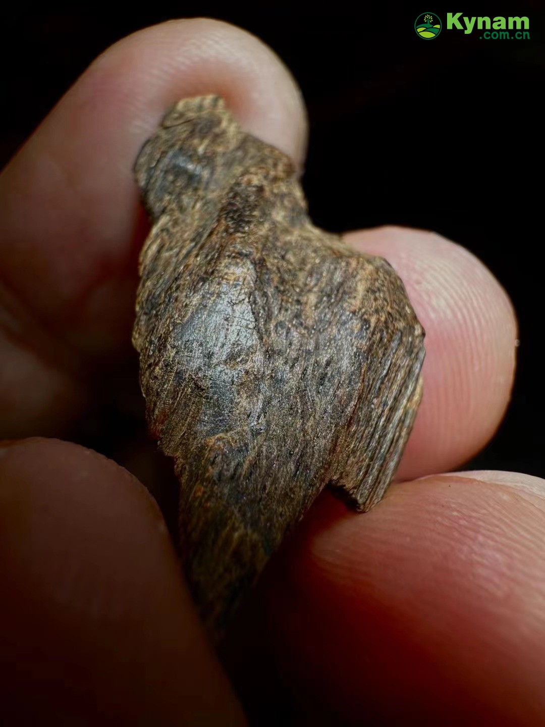 Image Appreciation, Hainan Old Agarwood, 4.95g