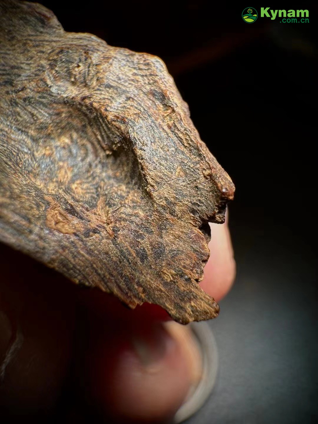 Image Appreciation, Hainan Old Agarwood, 4.95g