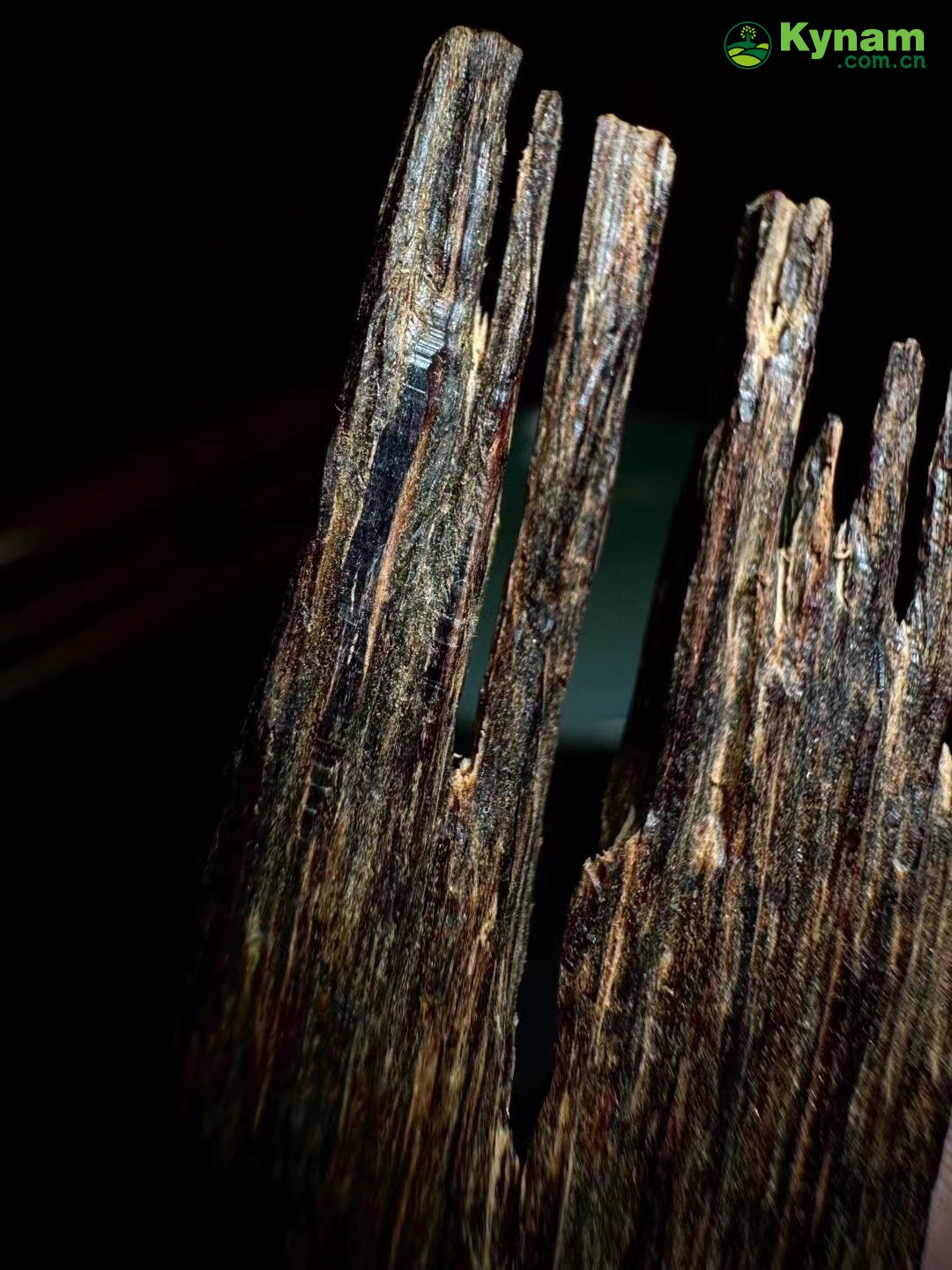 Image appreciation, Hainan aged agarwood core oil, 4.31 grams