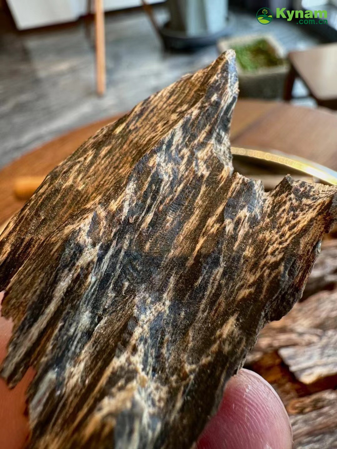 Image Appreciation, Sweet Aroma of Old Agarwood, 400g