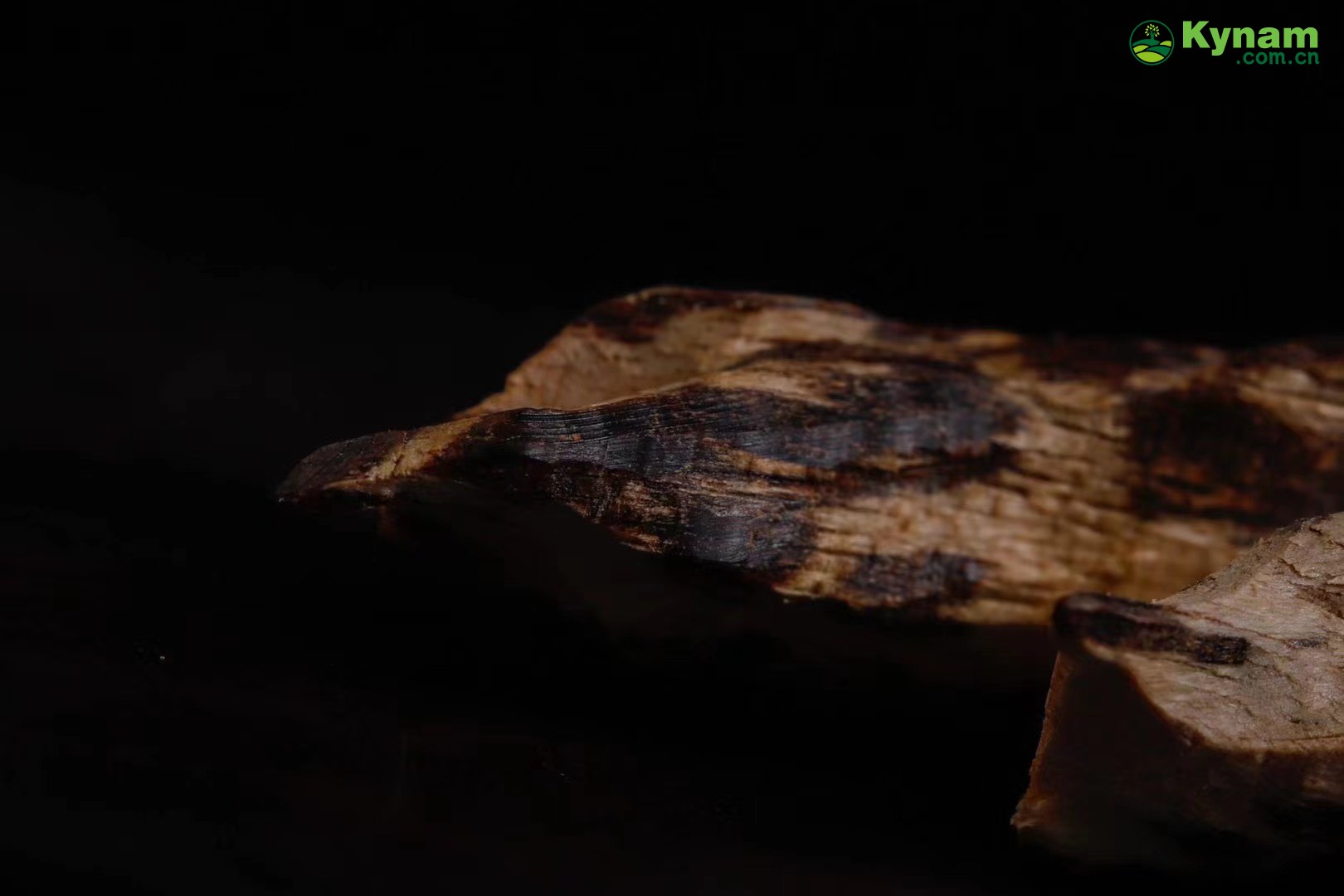 Appreciation of Collectibles, Hainan Tree Heart Agarwood 2.76g