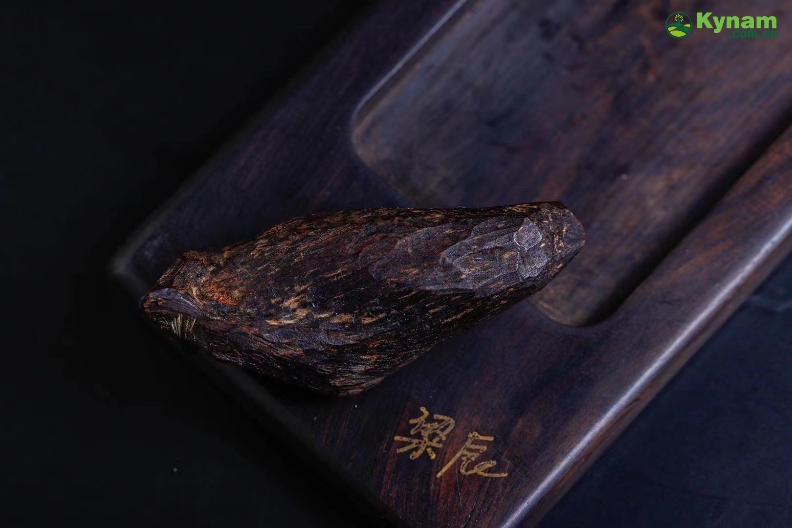 Appreciation of collectibles, century old agarwood