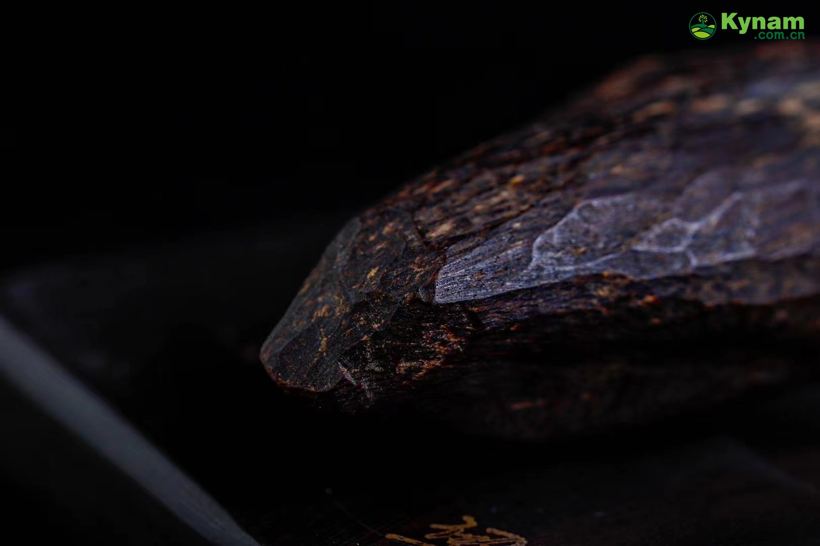 Appreciation of collectibles, century old agarwood