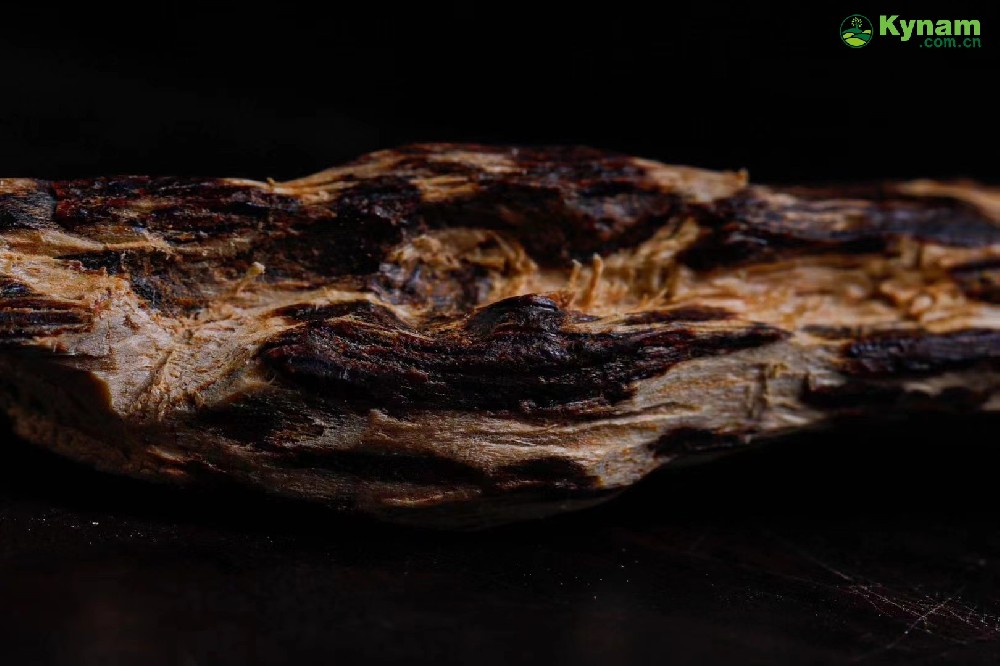 Hainan tree heart agarwood, a century old fragrance