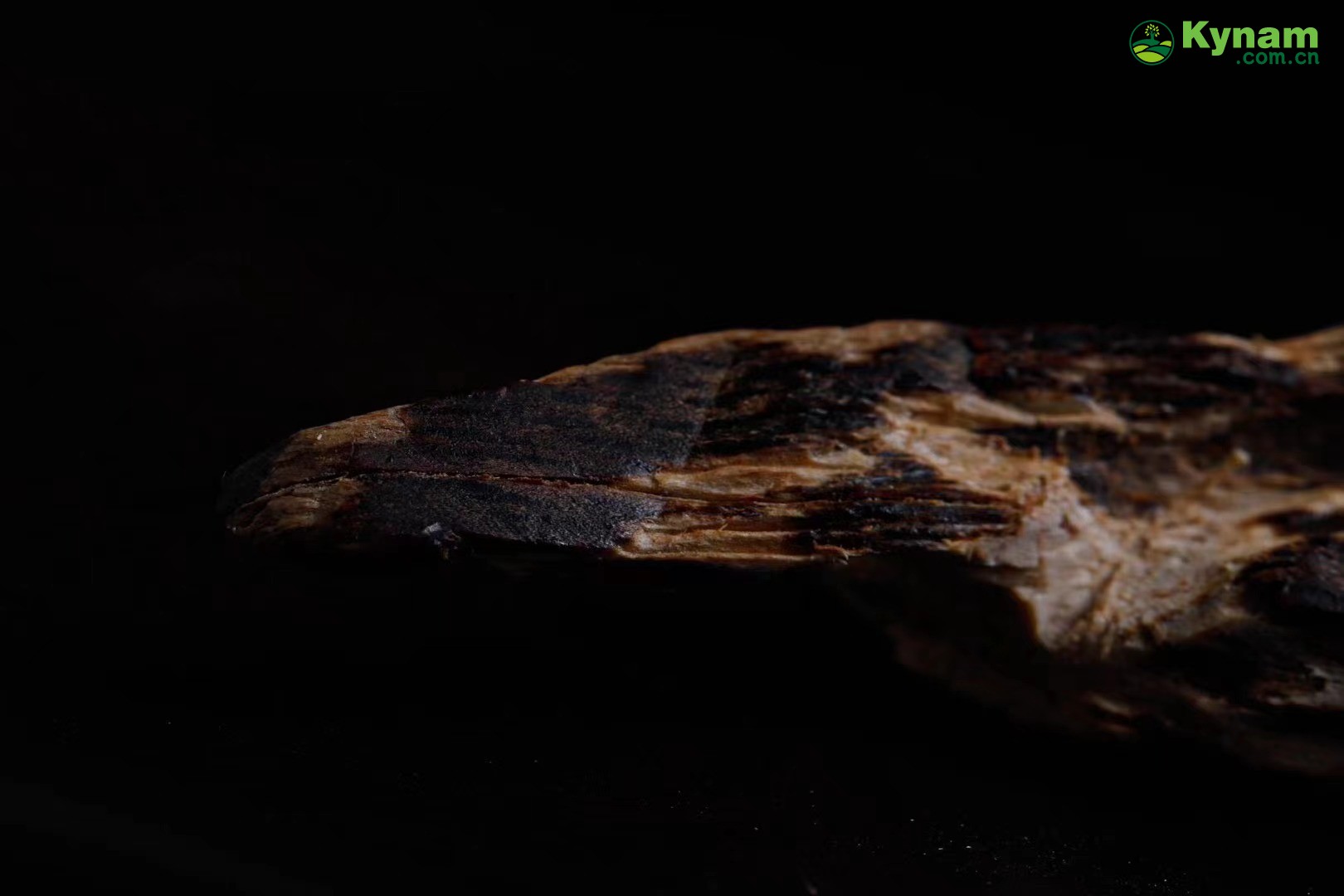 Hainan tree heart agarwood, a century old fragrance