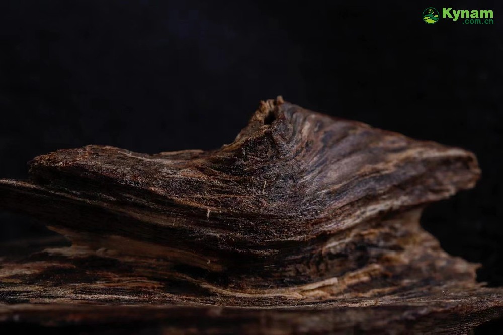 The root of the tree has sufficient oil and can sink into water, weighing 4.47 grams