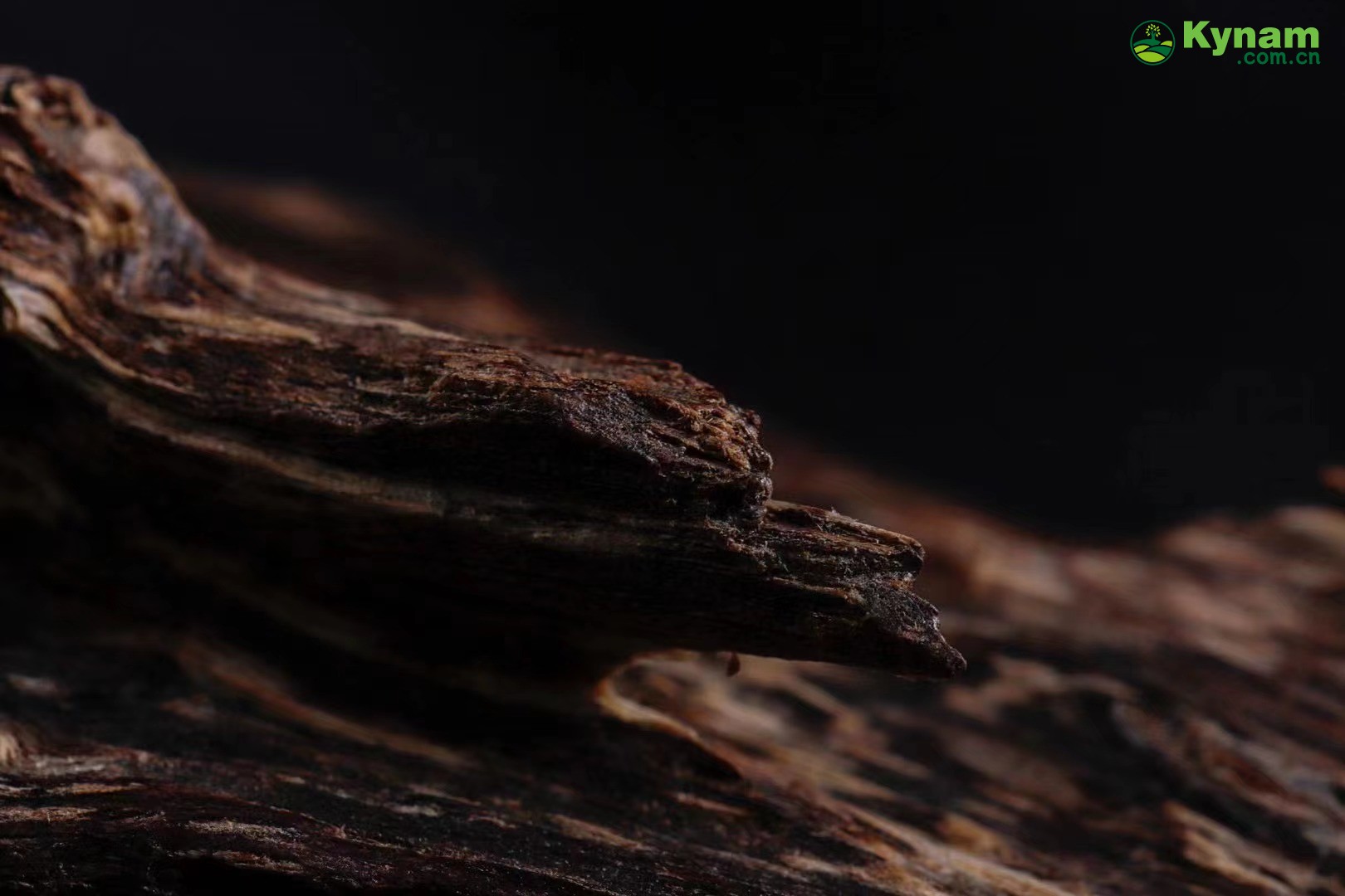 The root of the tree has sufficient oil and can sink into water, weighing 4.47 grams