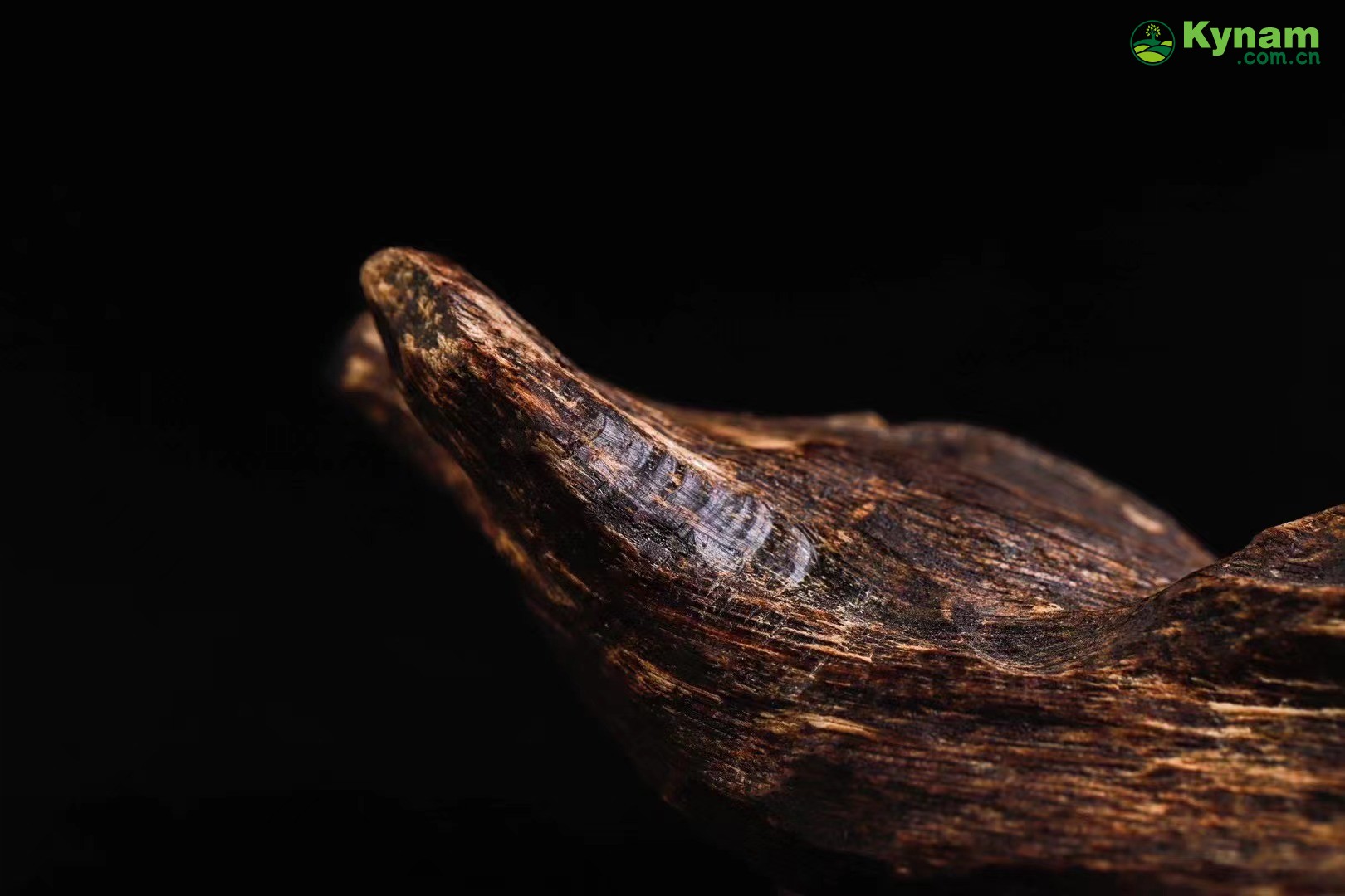 Can be submerged in water and aged agarwood, emitting a sweet floral fragrance