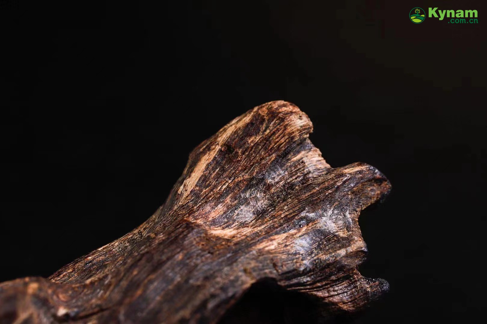 Can be submerged in water and aged agarwood, emitting a sweet floral fragrance