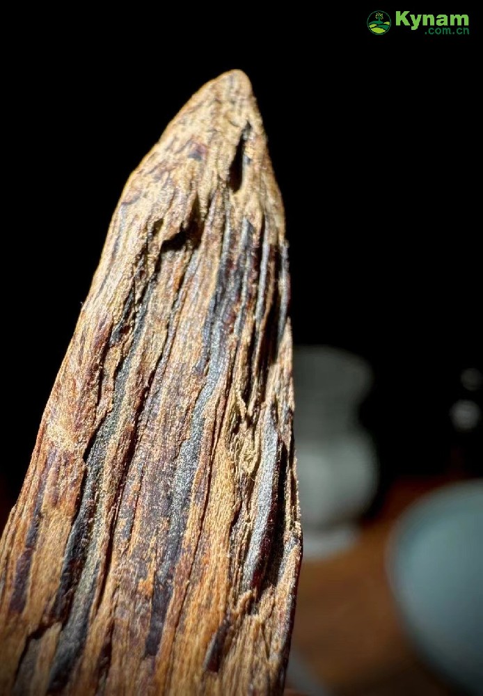 Premium aged agarwood, with a charming taste.
