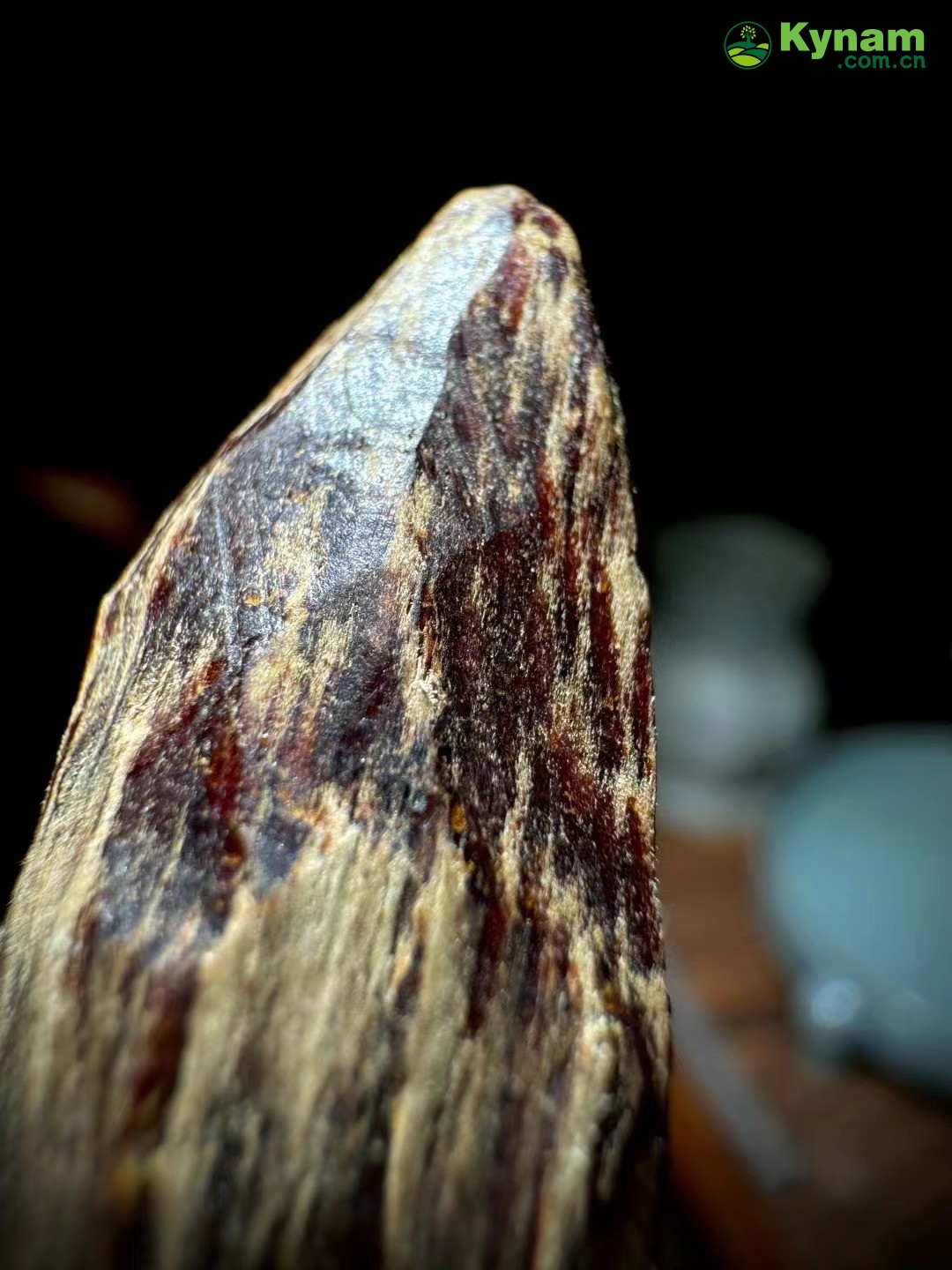 Premium aged agarwood, with a charming taste.