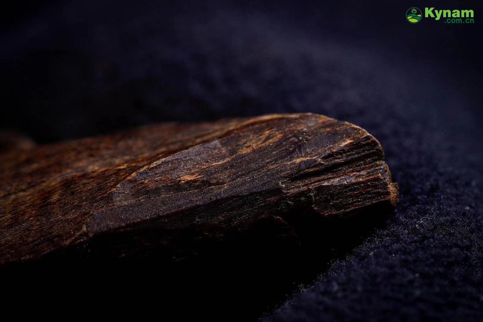 A piece of agarwood that has been around for hundreds of years