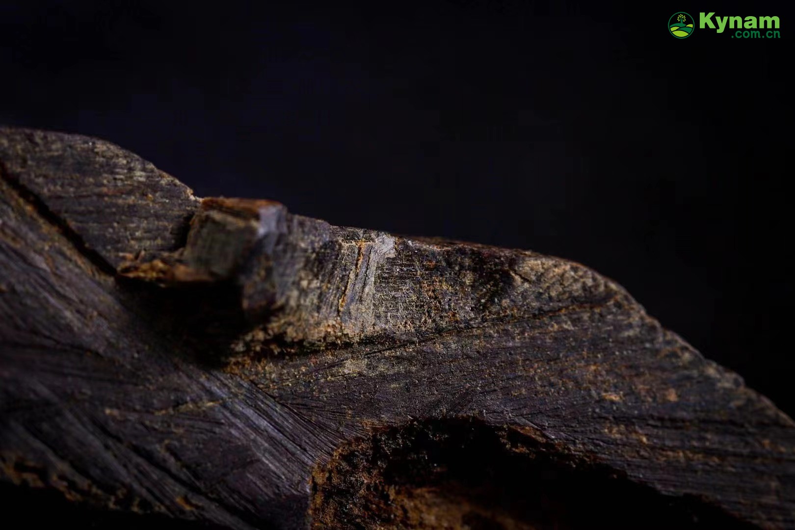 A piece of agarwood that has been around for hundreds of years