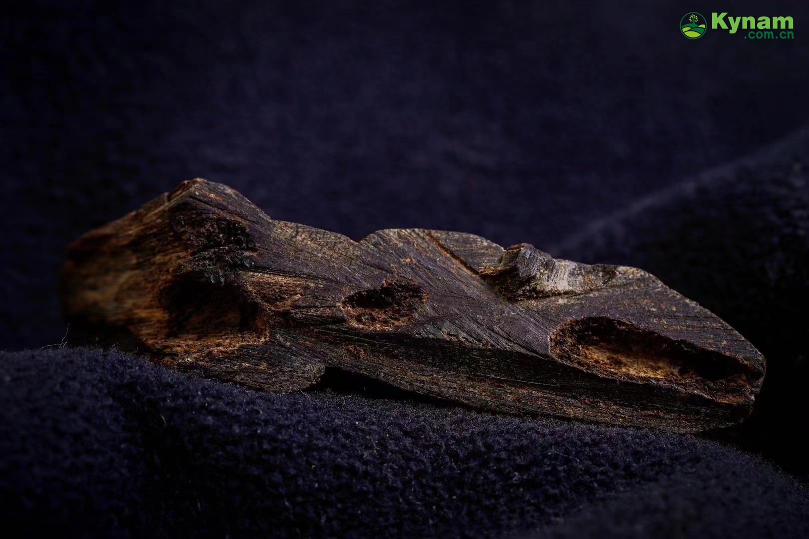 A piece of agarwood that has been around for hundreds of years