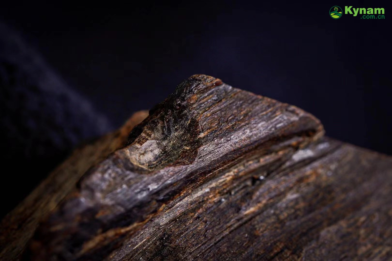 A piece of agarwood that has been around for hundreds of years