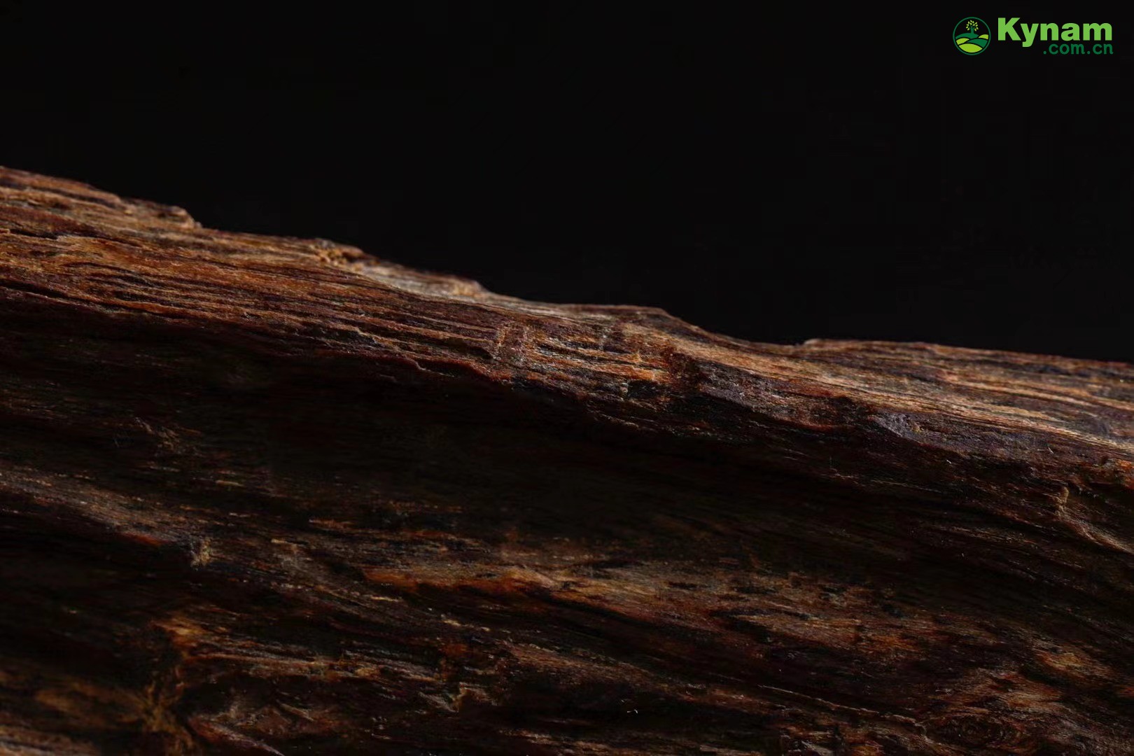 Rare collection of agarwood