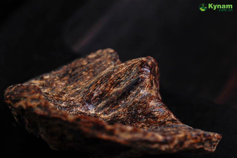 A piece of Hainan aged agarwood that can sink in water