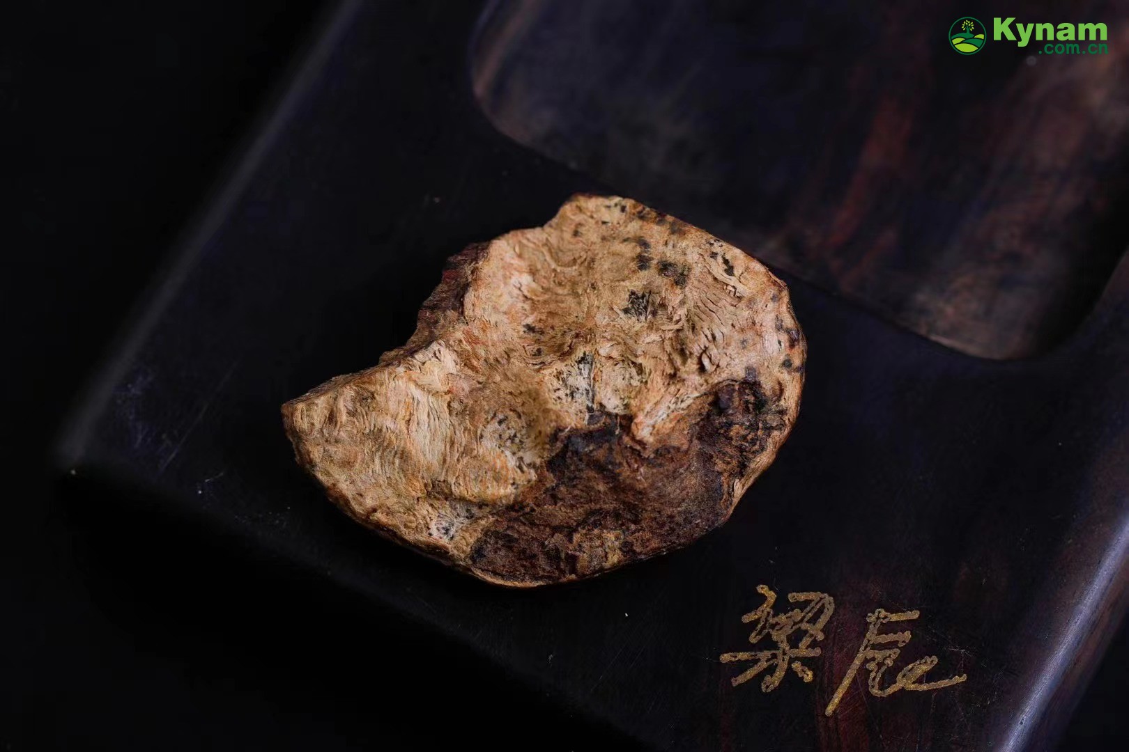 A piece of Hainan aged agarwood that can sink in water