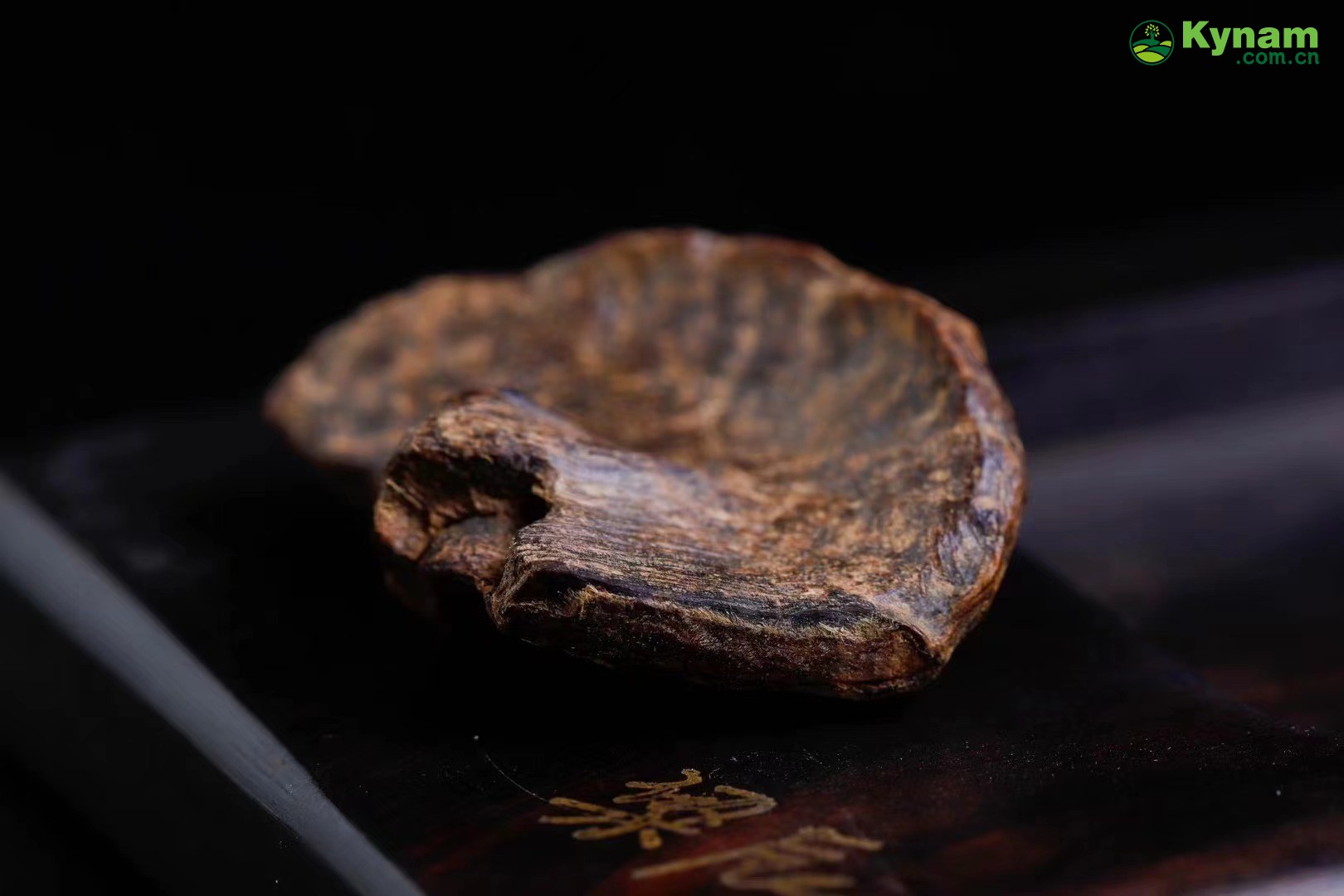 A piece of Hainan aged agarwood that can sink in water