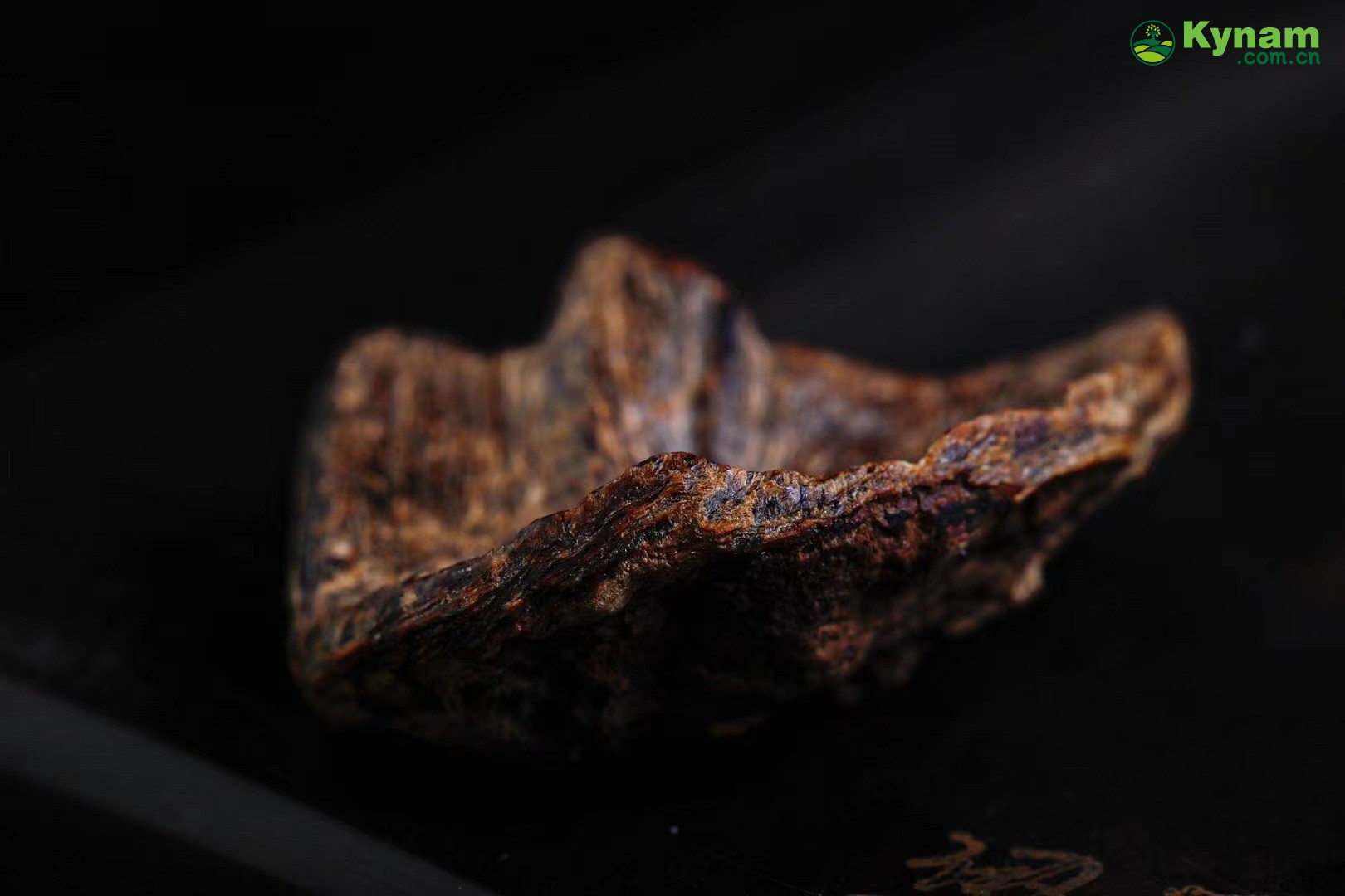 A piece of Hainan aged agarwood that can sink in water