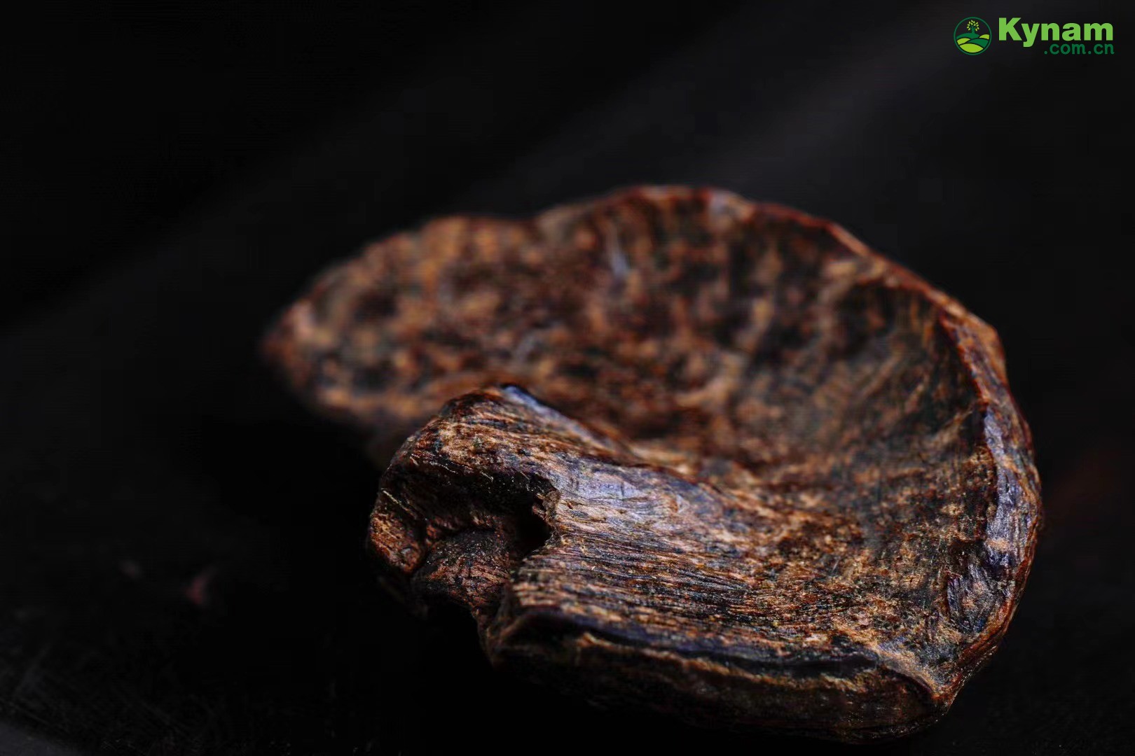 A piece of Hainan aged agarwood that can sink in water