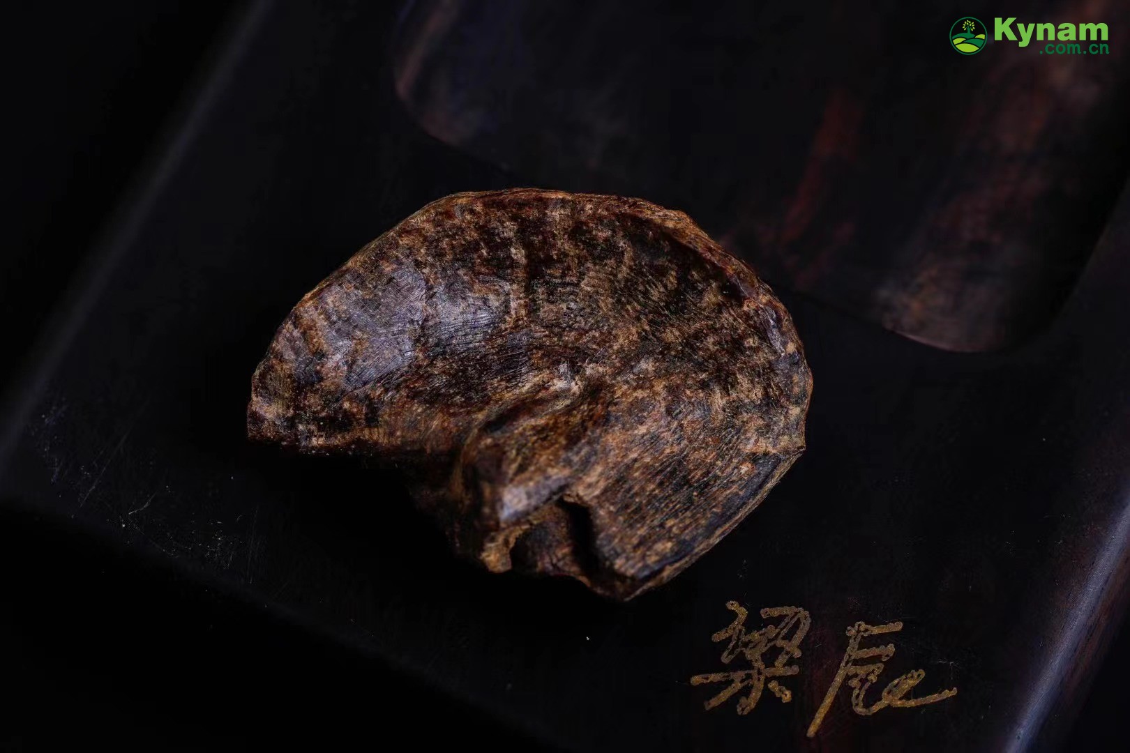 A piece of Hainan aged agarwood that can sink in water