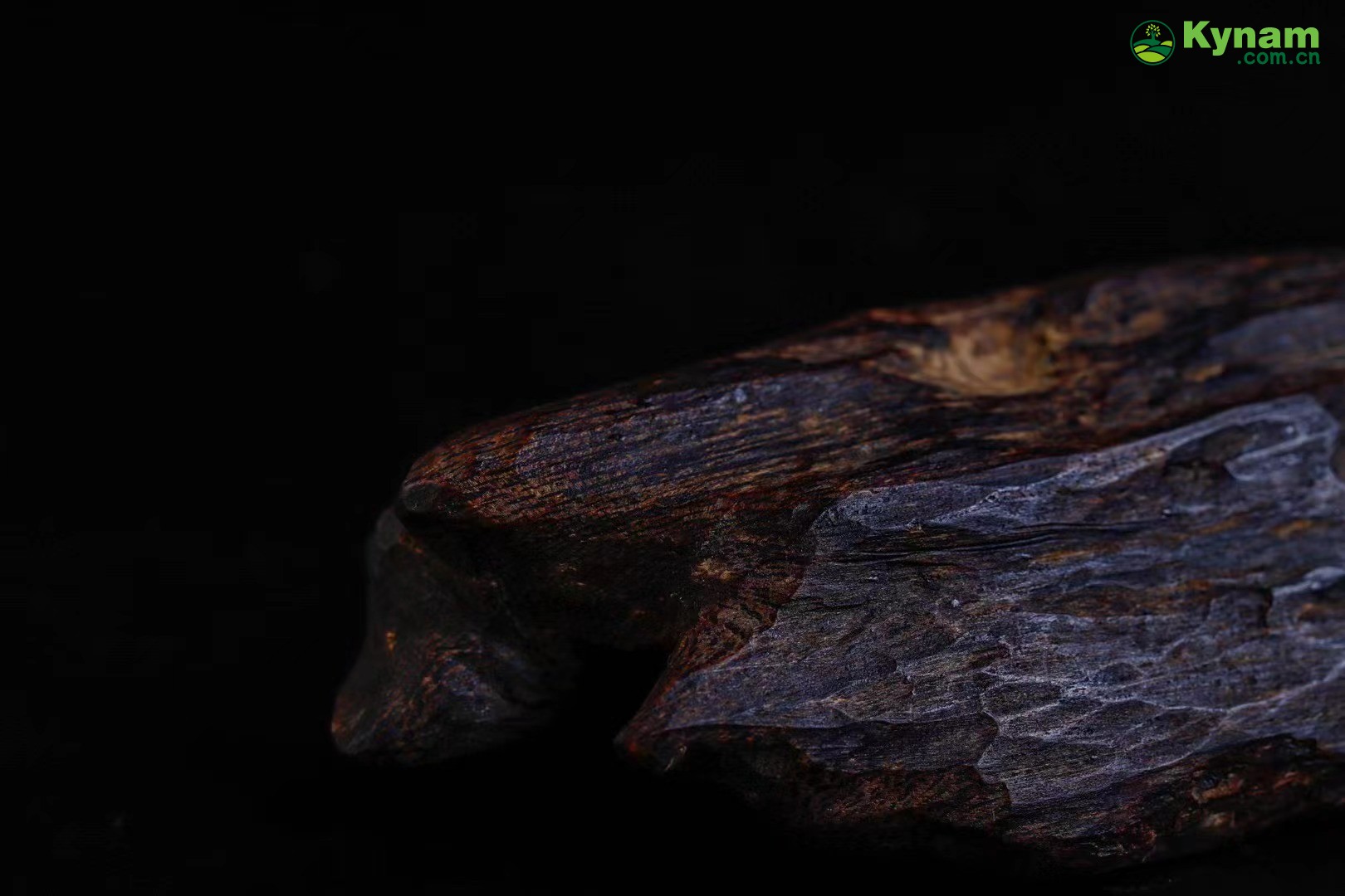 Wild agarwood material, formed by insect bites, forming a fragrant aroma 19.29g