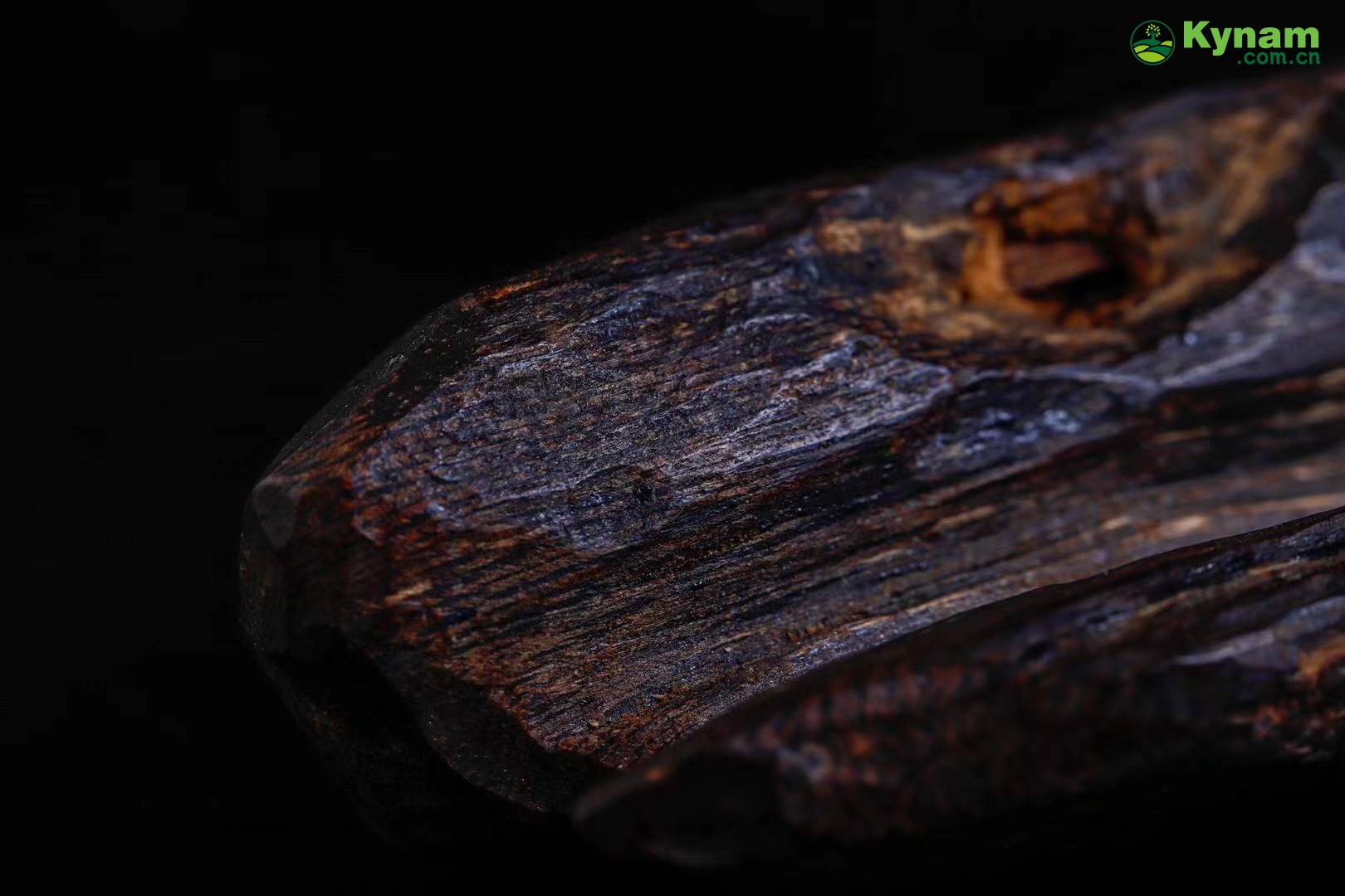 Wild agarwood material, formed by insect bites, forming a fragrant aroma 19.29g