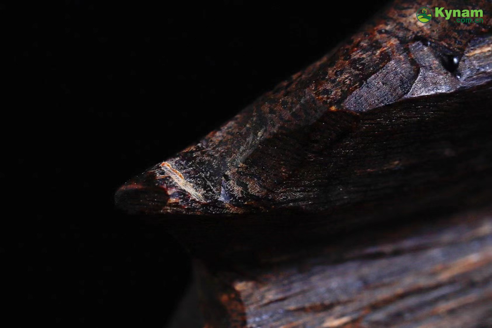 Wild agarwood material, formed by insect bites, forming a fragrant aroma 19.29g