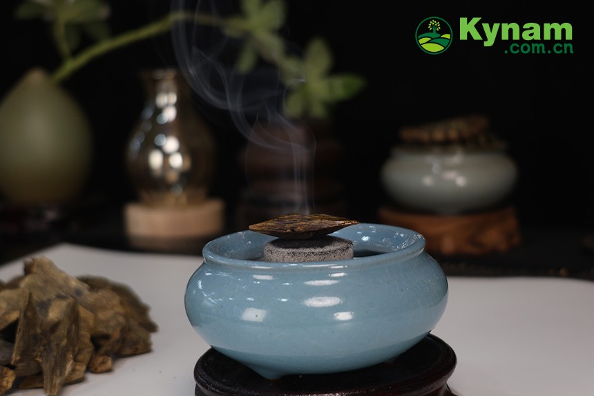 Kynam (Guanxiang) Qinan agarwood