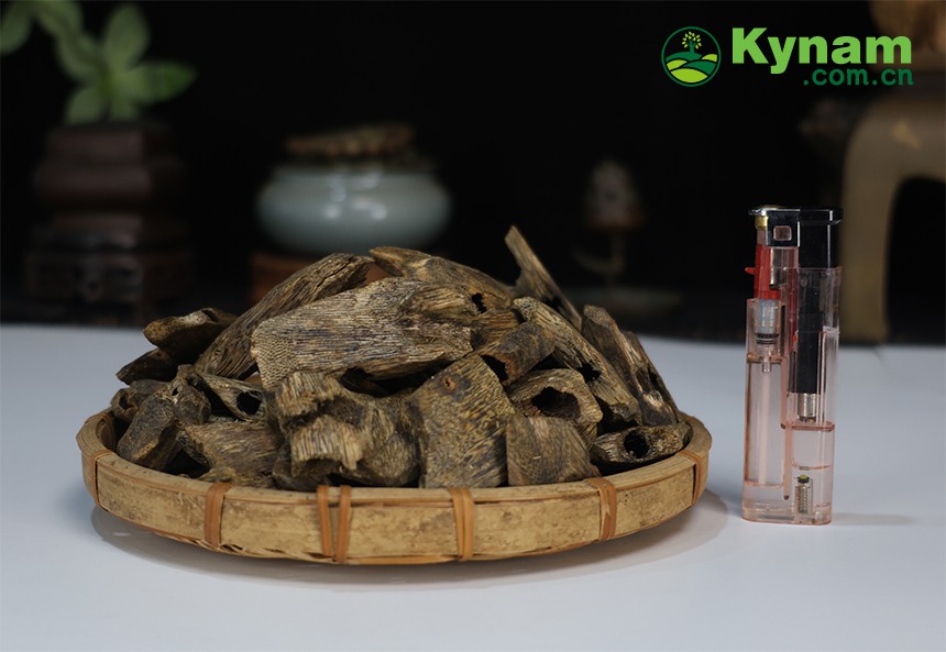 Kynam (Guanxiang) Qinan agarwood
