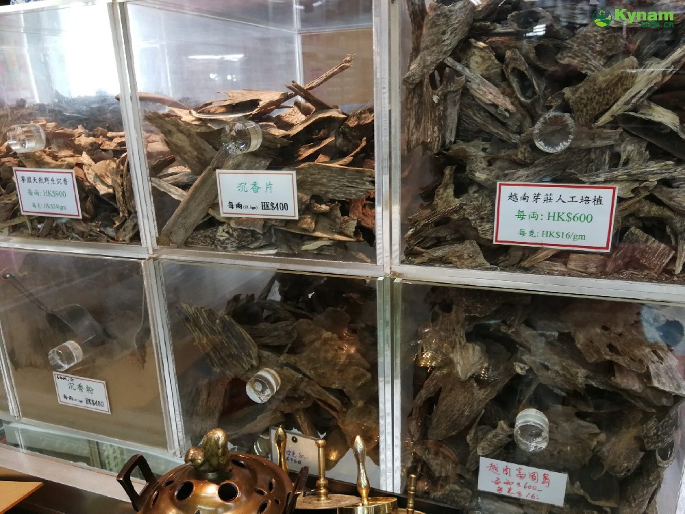 Global agarwood trade heavily dependent on wild, threatened trees: Study