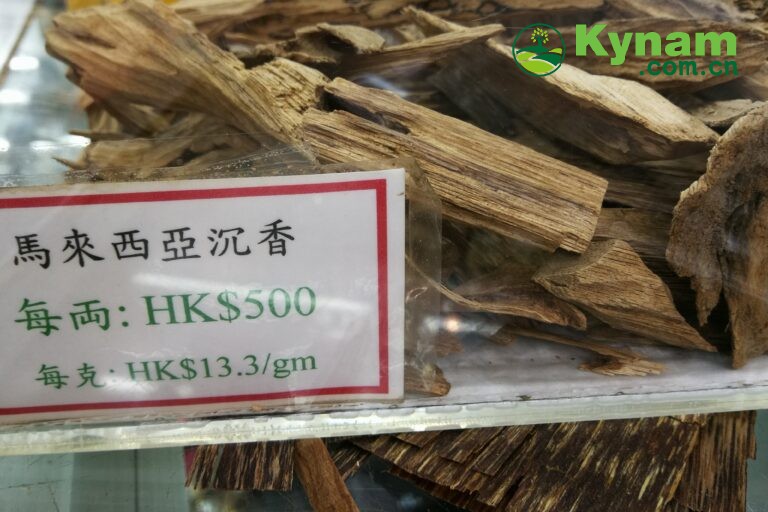 Photo-3-Agarwood-chips-sold-in-Hong-Kong-market-768x512.jpg
