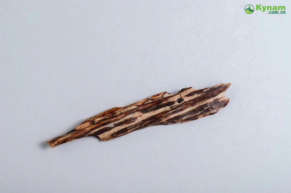 Hong Kong Shuxin Agarwood