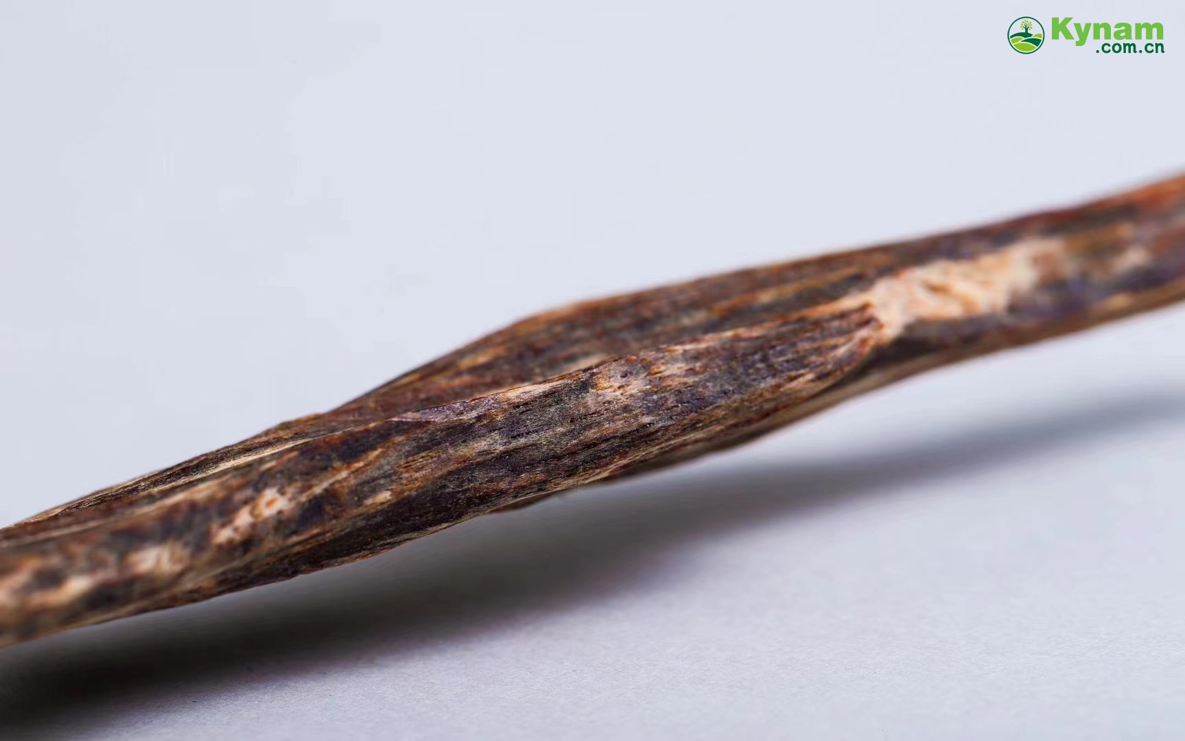 Hong Kong Shuxin Agarwood