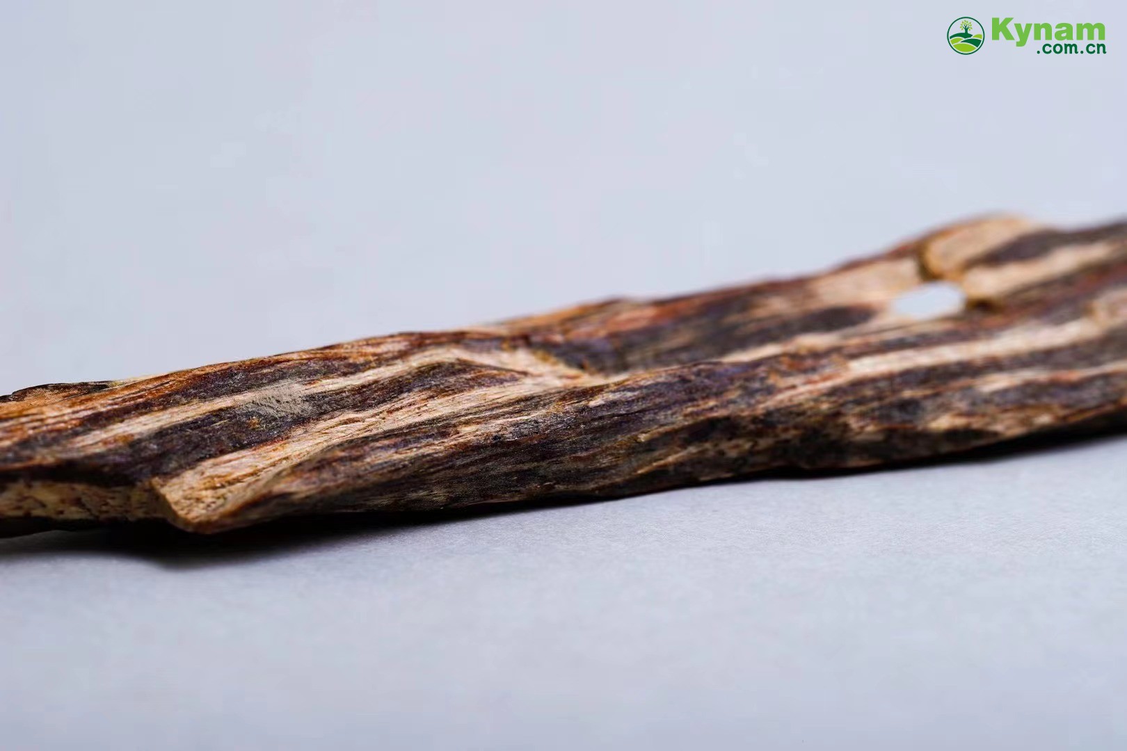 Hong Kong Shuxin Agarwood
